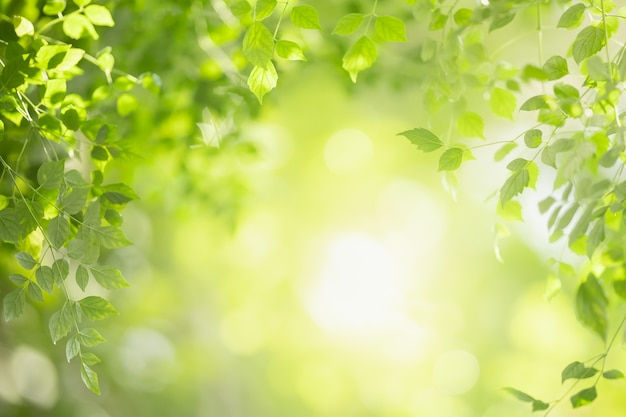 Wallpaper #X2dkC5MBSpphPi3-7dk165 Premium Photo Beautiful Nature View Green Leaf on Blurred Greenery
