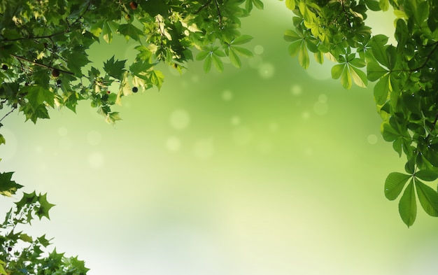 Wallpaper #X2dkC5MBSpphPi3-7dk1141 Premium Photo Green Natural Background Greenery Background