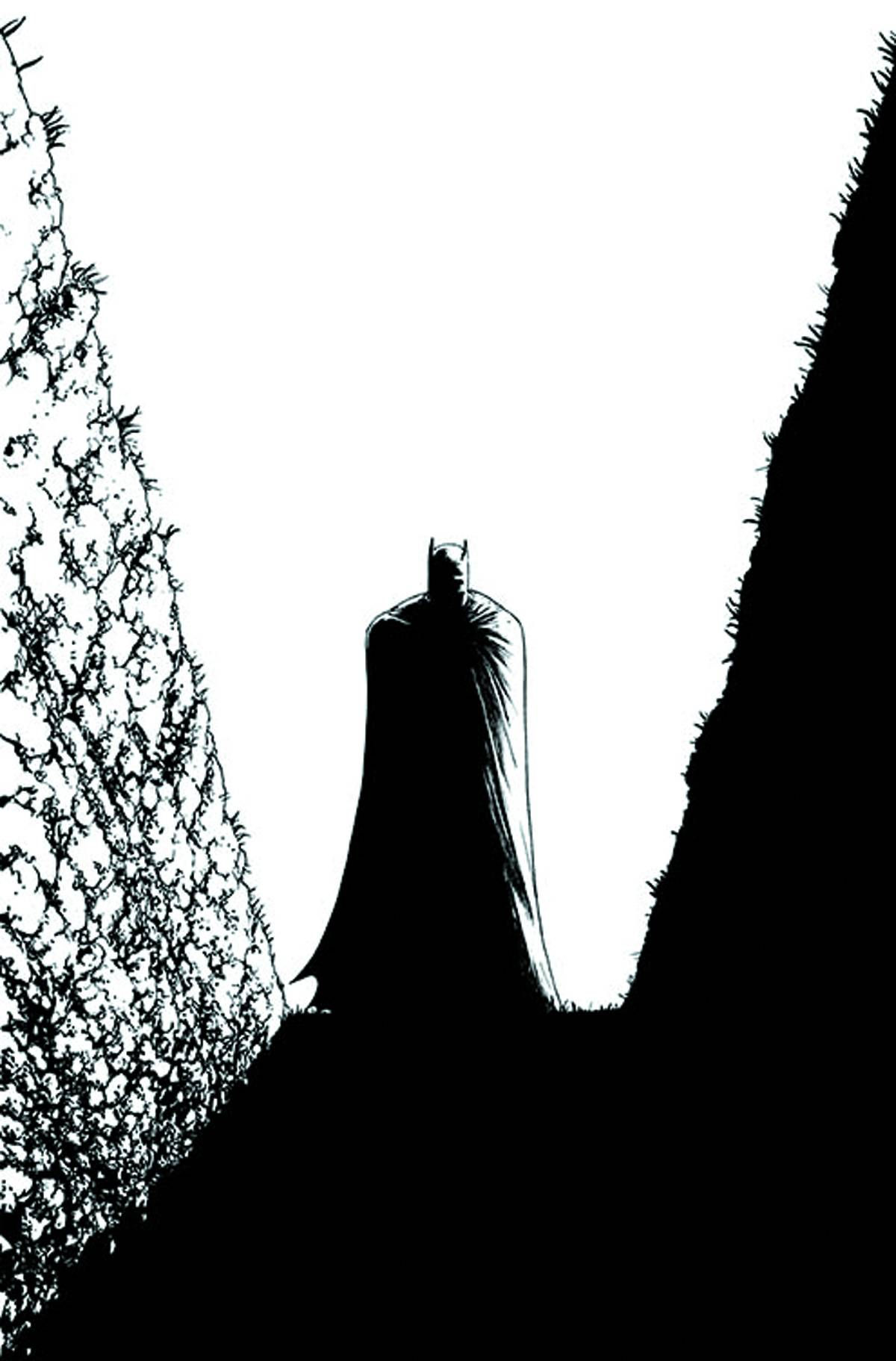 Wallpaper #zWdqCZMBSpphPi3-2s_N448 Batman Incorporated 9 Black White Cover Fresh Comics