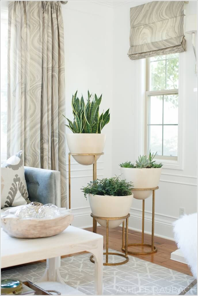 Wallpaper #b5610 30 Pretty House Plants Ideas for Living Room Decoration Living Room