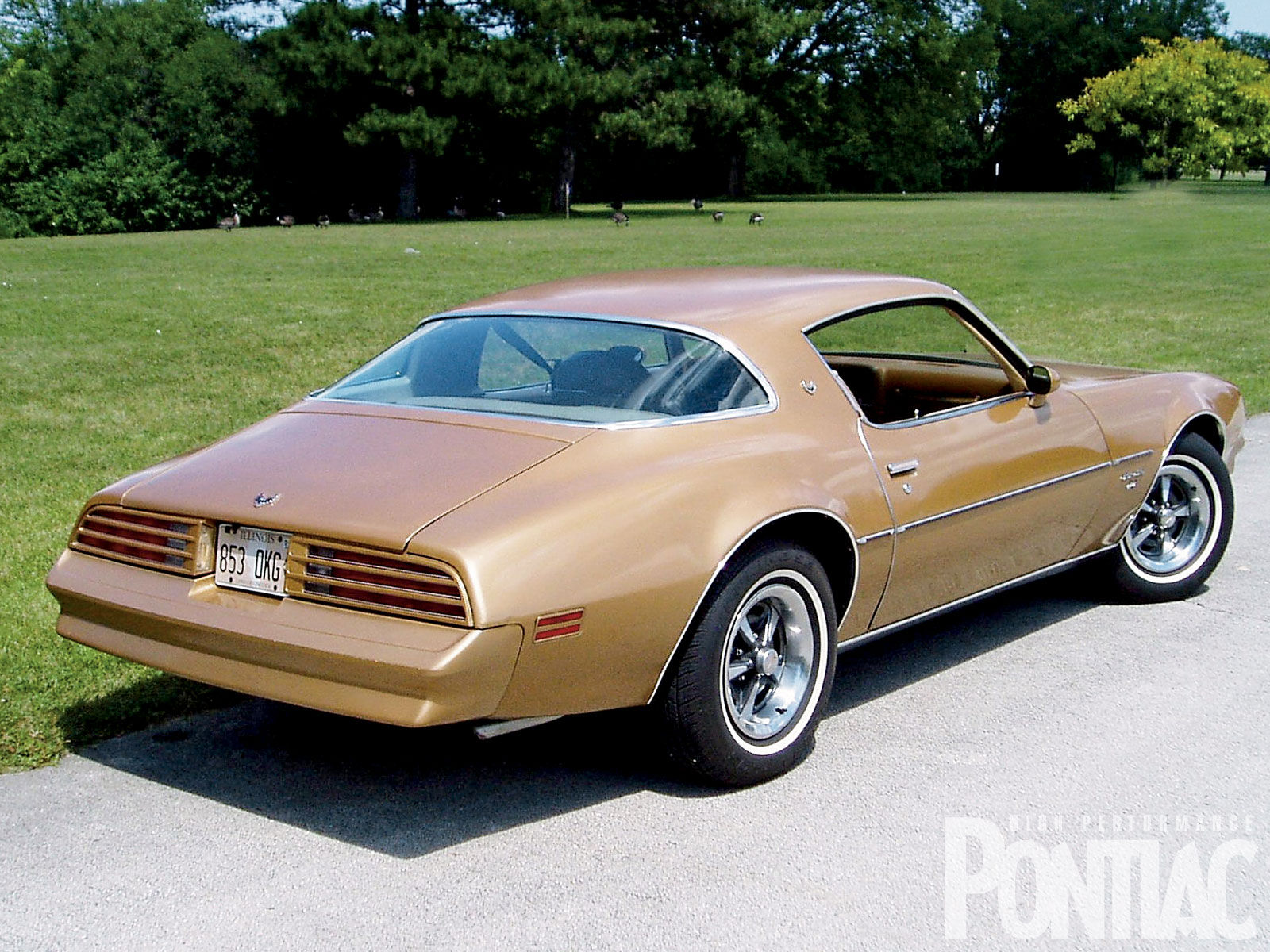 Wallpaper #8954e 1973 Pontiac Trans Am Hot Rod Network