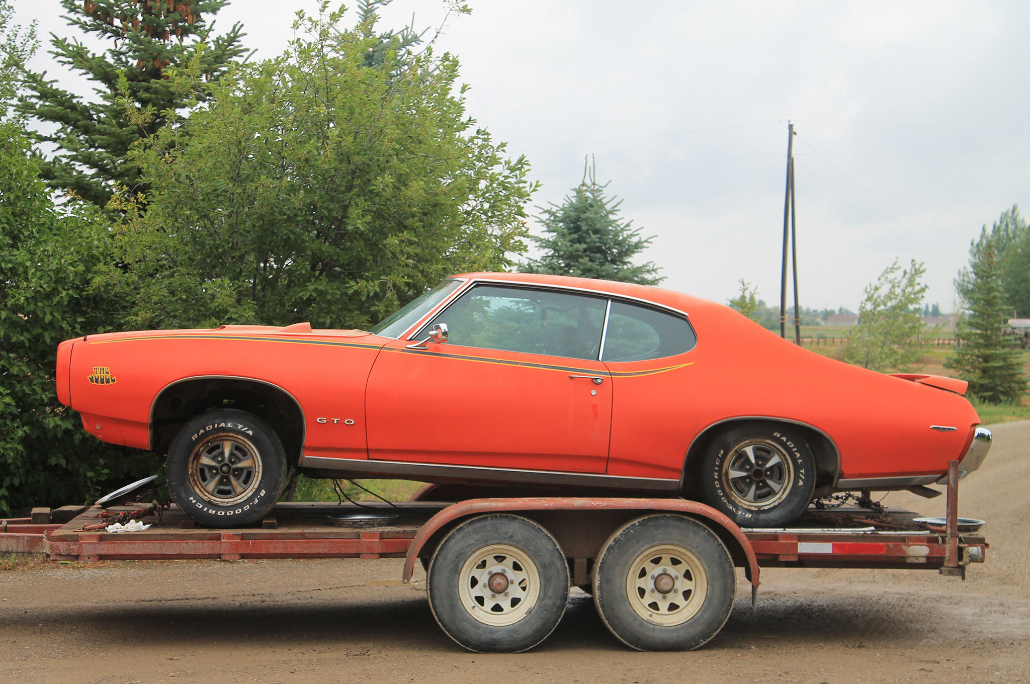 Wallpaper #W2dxBpMBSpphPi3-osE5132 The Judge in the Tree is Finally Free 1969 Pontiac Gto Saved After 30