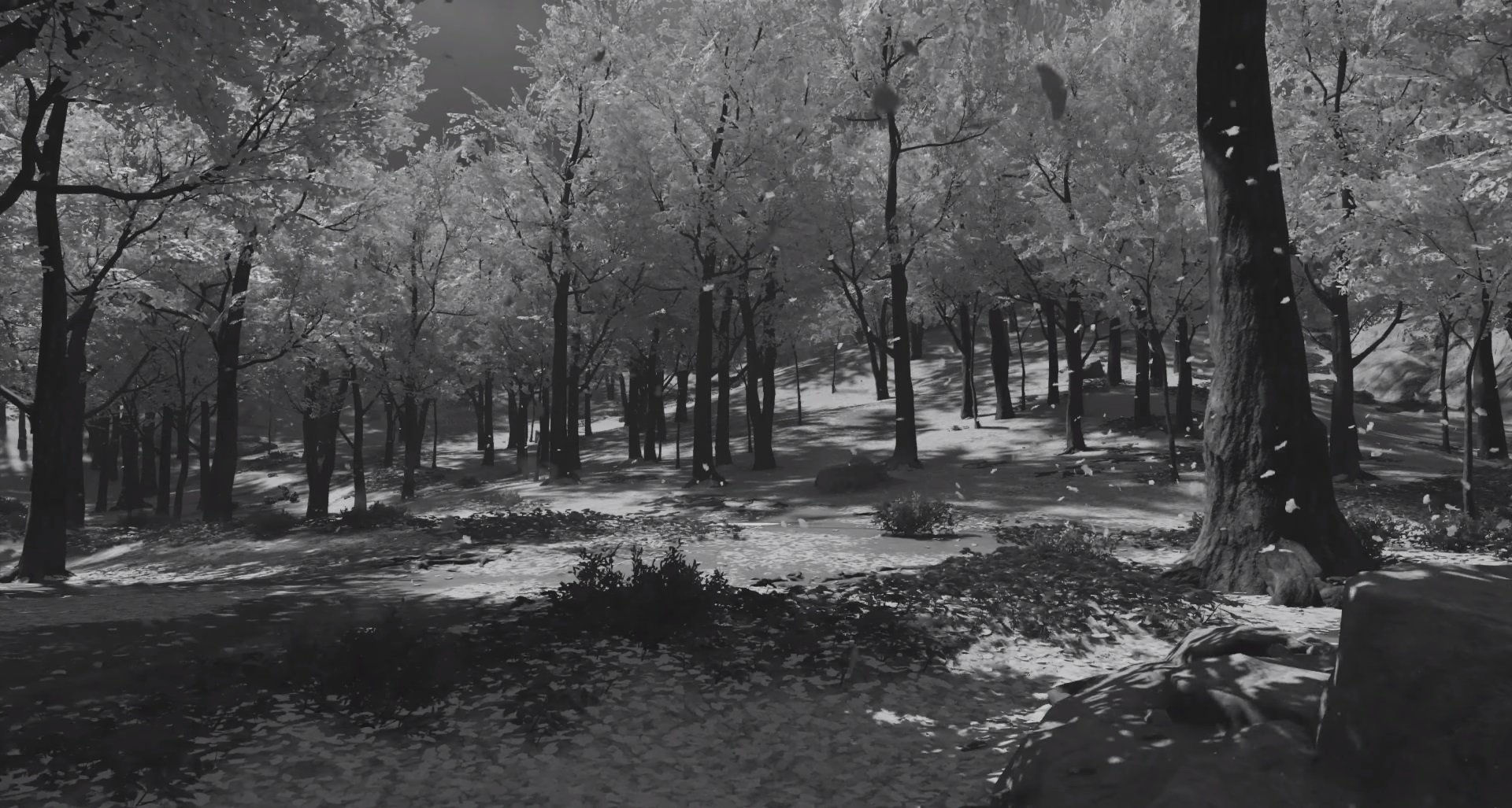Wallpaper #OhmdBY8BtGB6xQ78i1I529 You Can Play Ghost of Tsushima in Black and White Allgamers