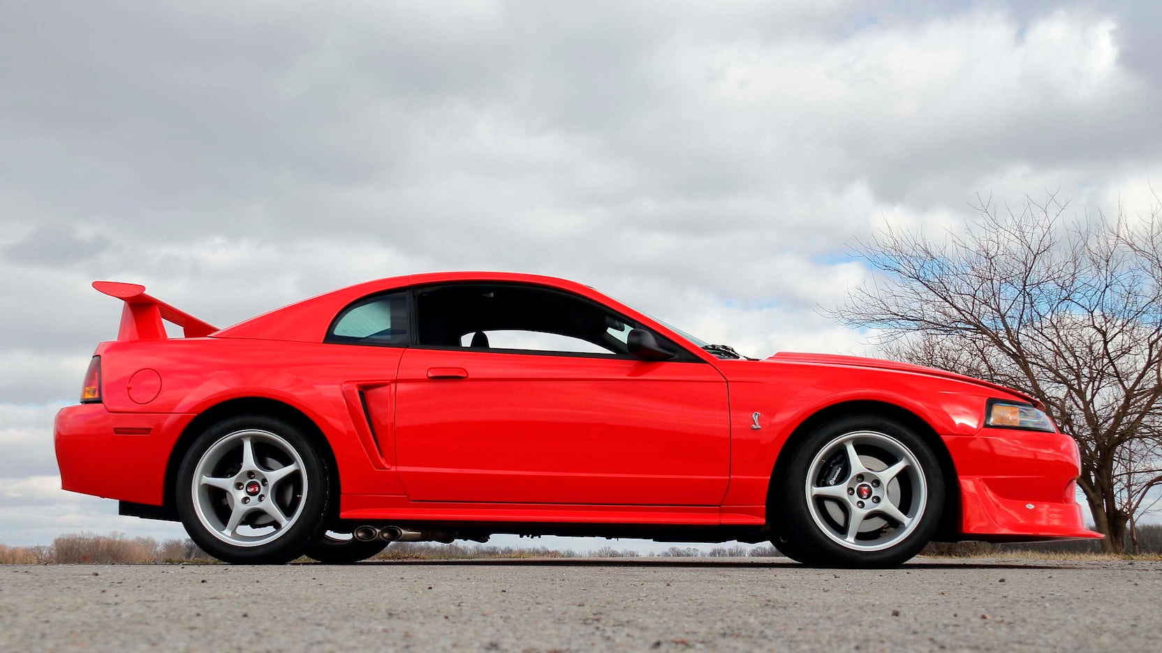 Wallpaper #iWfu65IBSpphPi3-cE84258 2000 Cobra R Mecum Offers Low Mile Cobra R Up for Auction