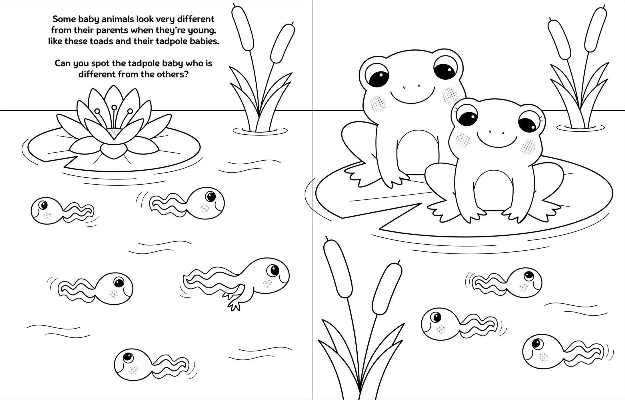 Wallpaper #Gmd6CZMBSpphPi3-WNCd258 Crayola Jungle Animal Coloring Book