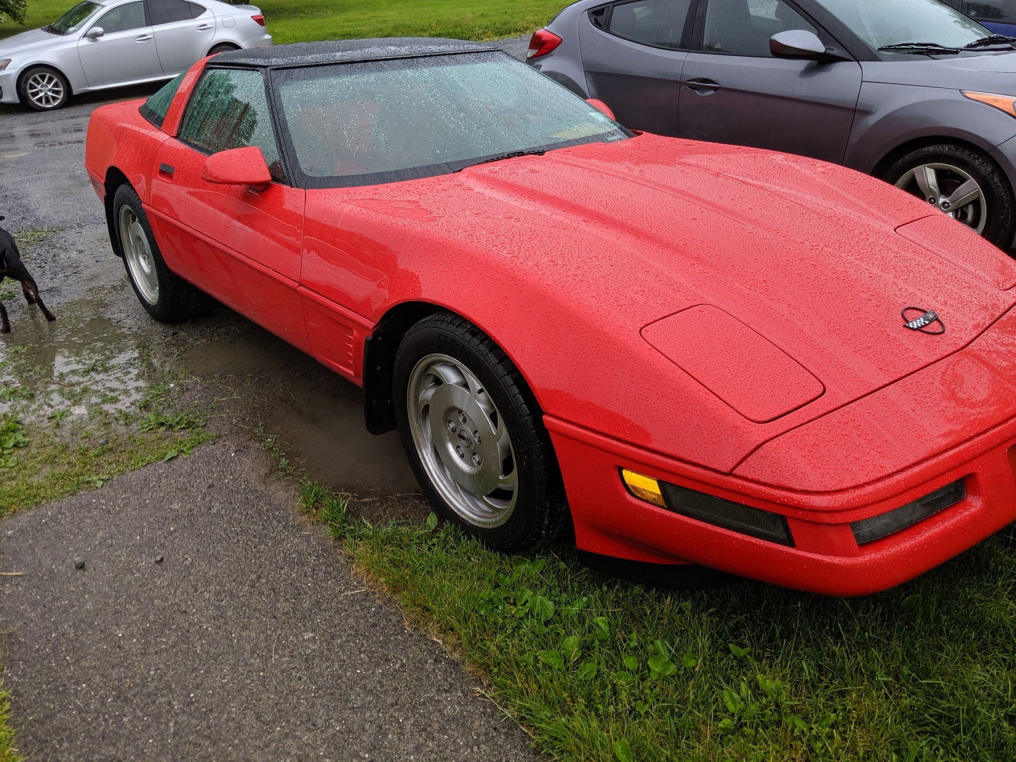 Wallpaper #-Gd-AZMBSpphPi3-aqp5178 New 1996 C4 Lt1 Owner Corvetteforum Chevrolet Corvette Forum Discussion