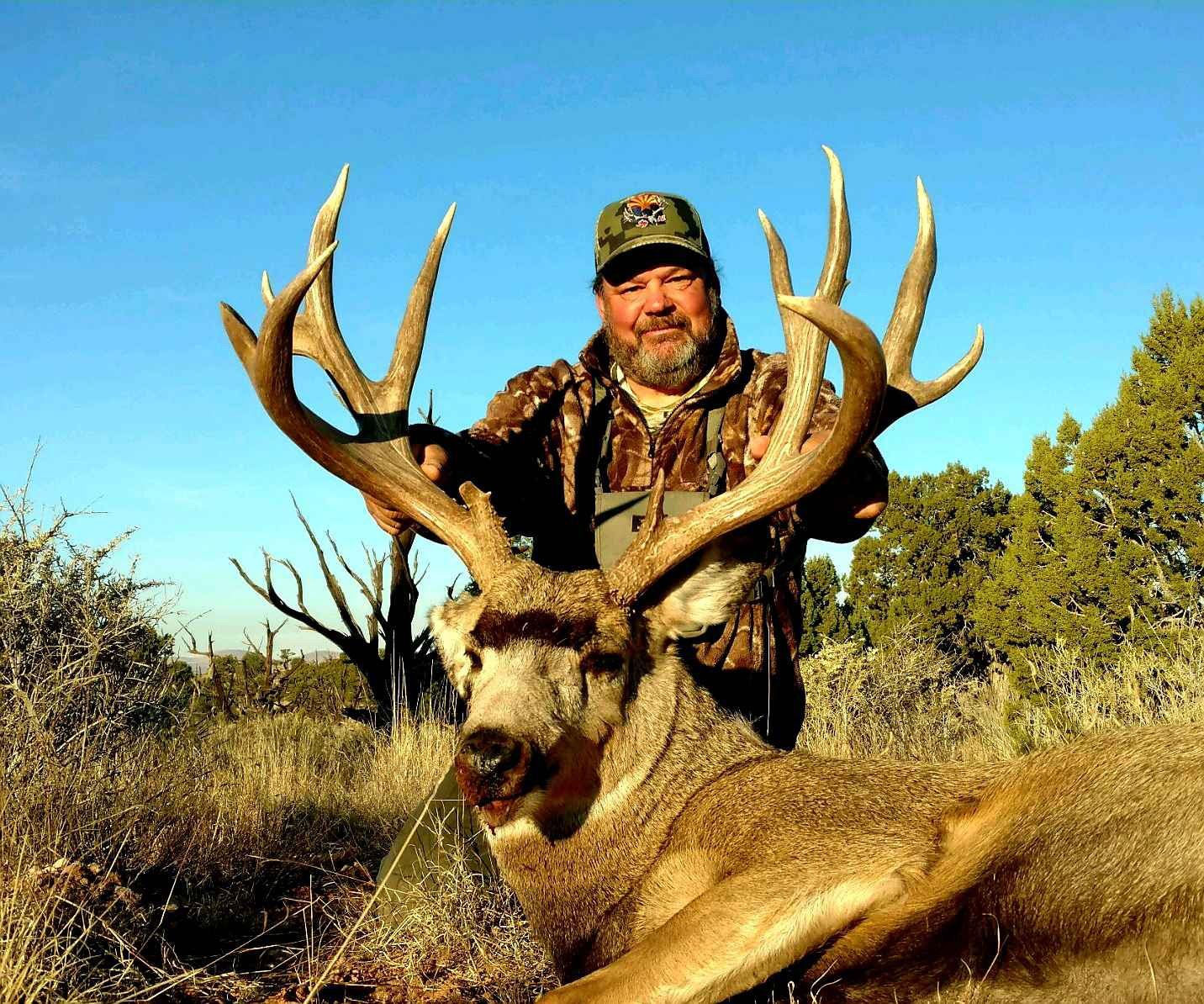 Wallpaper #FmiZE5MBSpphPi3-2gHs3 2020 Arizona Special License Mule Deer Tag