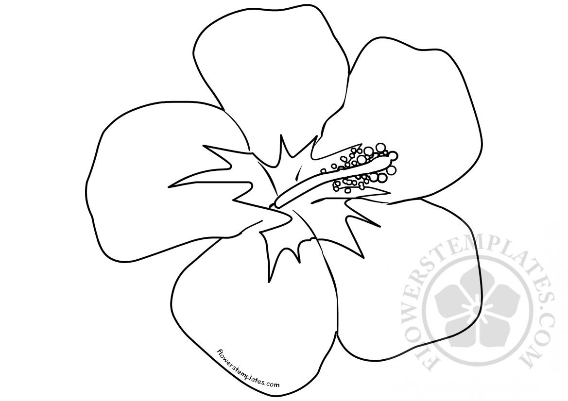 Wallpaper #8a759 Printable Downloadable Free Cricut Paper Flower Template