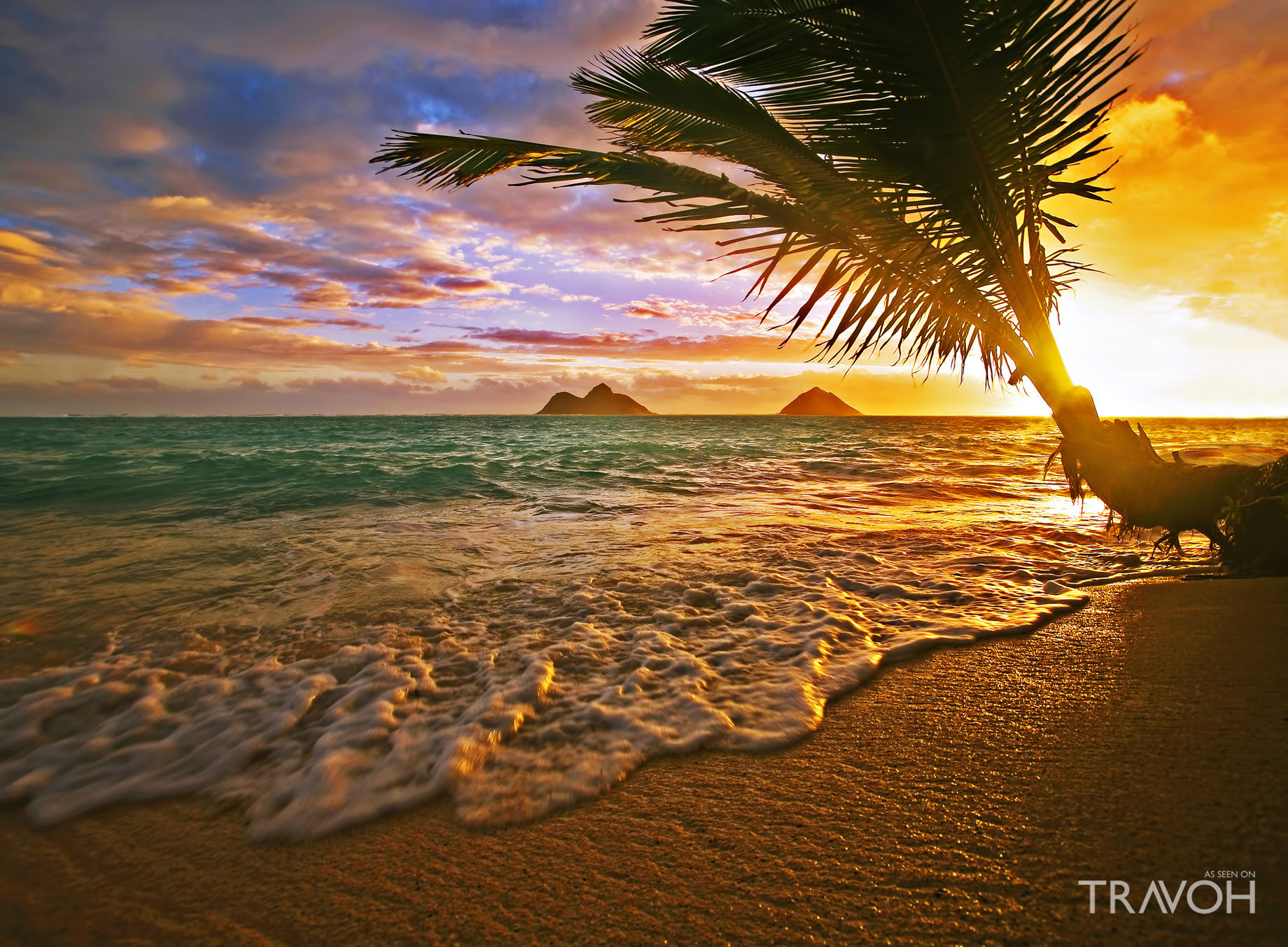 Wallpaper #sf-6aJMB3lSXT3zUDuTM209 Exploring 10 of the Top Beaches in Oahu Hawaii Travoh