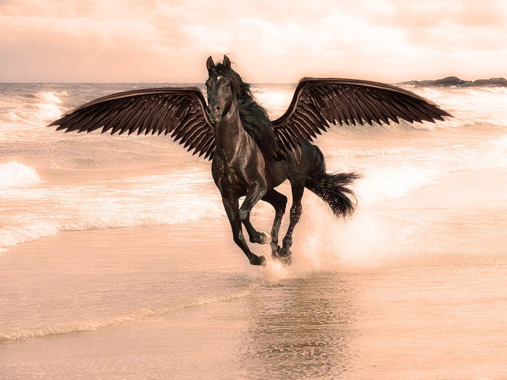 Wallpaper #bWfaEpMBSpphPi3-4_0h280 Black Horse Wallpapers Wallpaper Zone