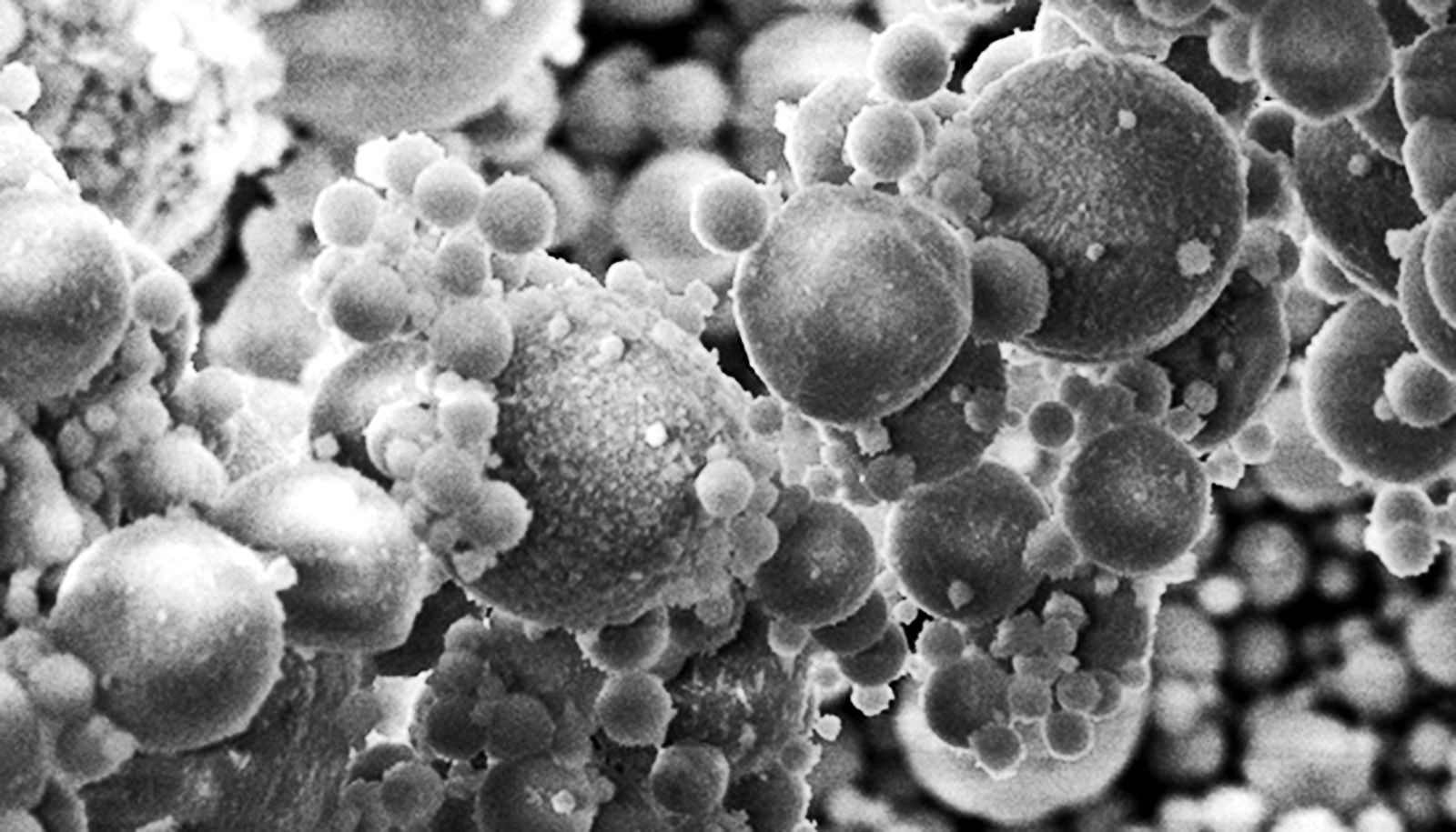 Wallpaper #_Gep6ZIBSpphPi3-WkJU132 Method Gets More Rare Earth Elements Out of Waste Futurity