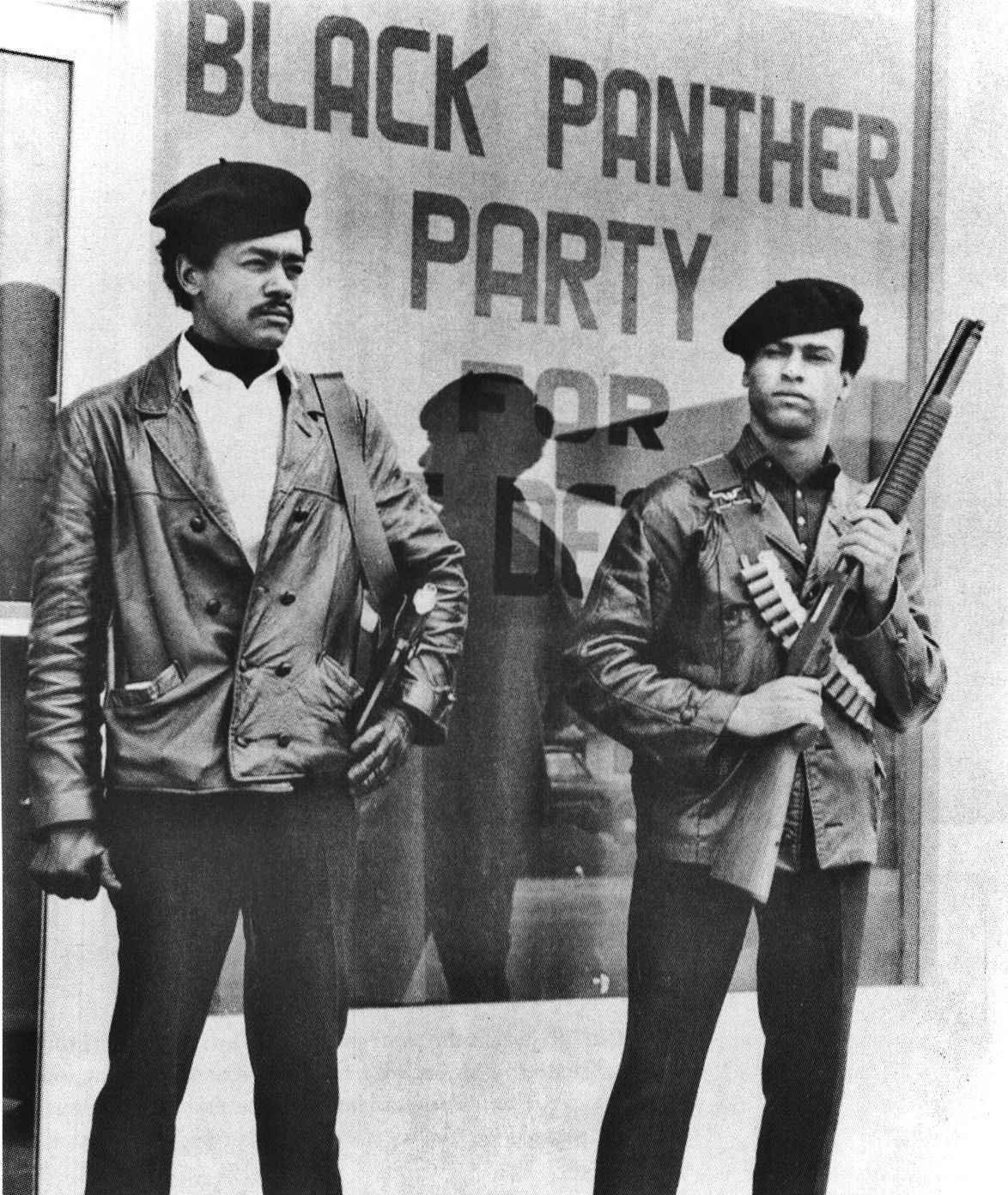 Wallpaper #6d884 The Black Panthers Vanguard of the Revolution Documentary About