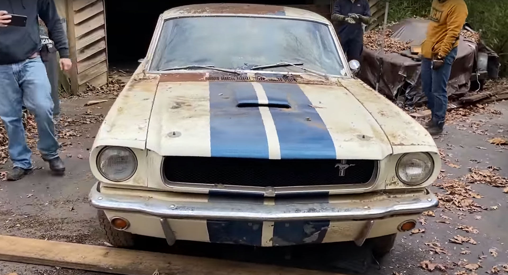 Wallpaper #bGgGF5MBSpphPi3-Rg1x89 Historic 1965 Ford Mustang Shelby GT350 Was Hiding in an Abandoned