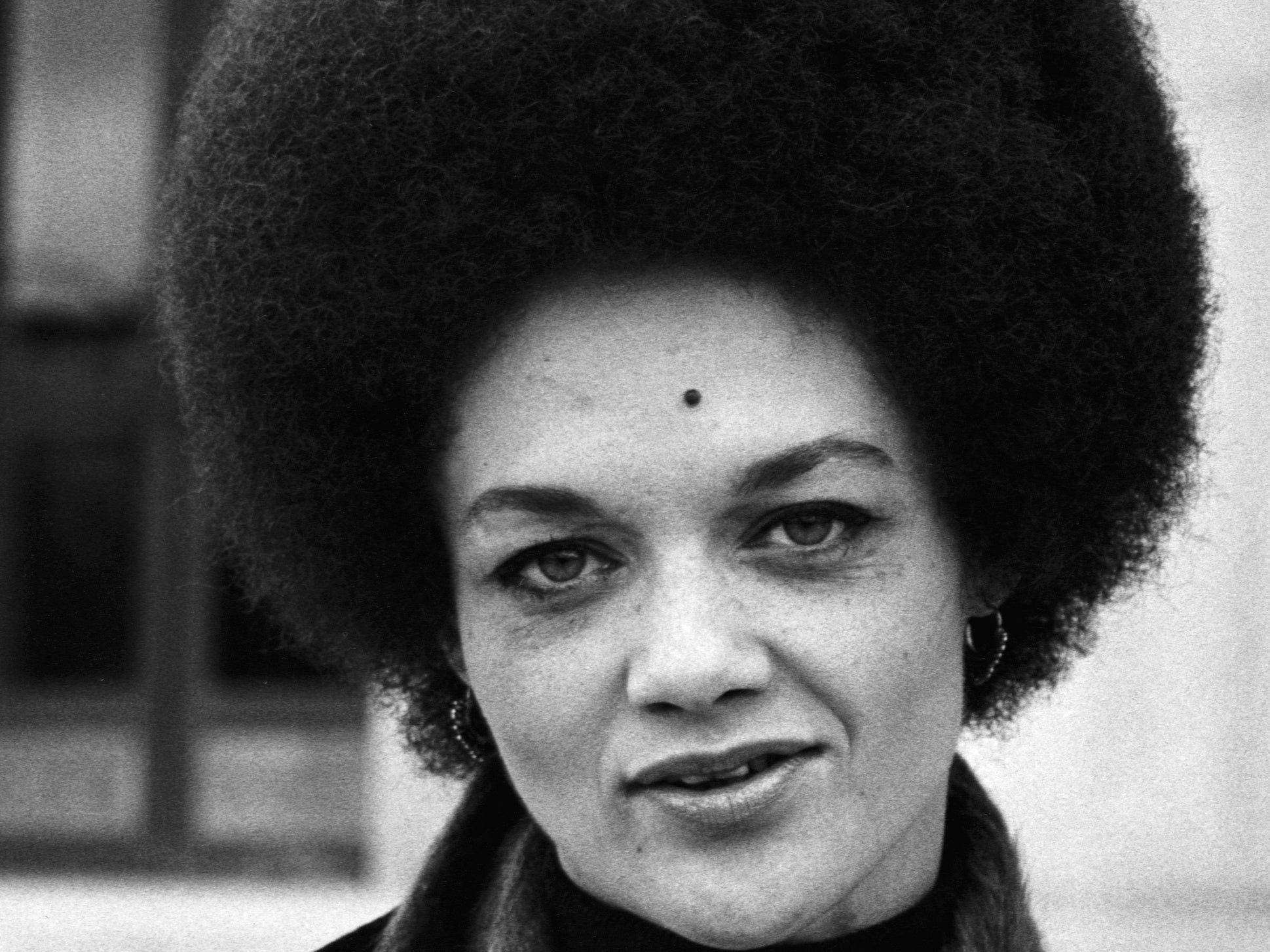 Wallpaper #6d884 The Black Panthers Vanguard of the Revolution Documentary About