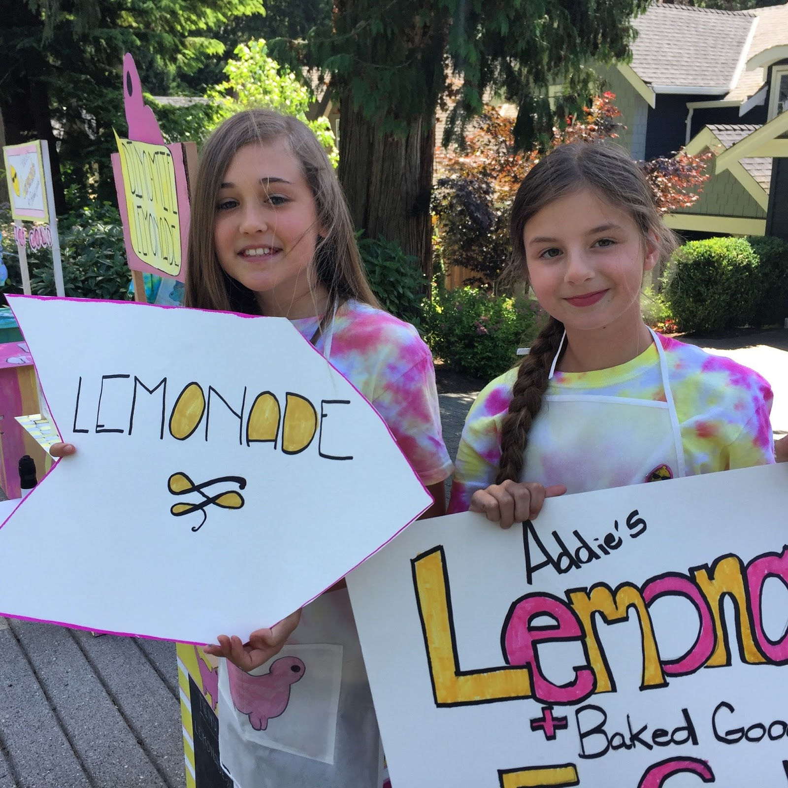 Wallpaper #02ewD5MBSpphPi3-Ae9s208 Doodlebug Dabblings Lets Make Lemonade Summer Art Camp