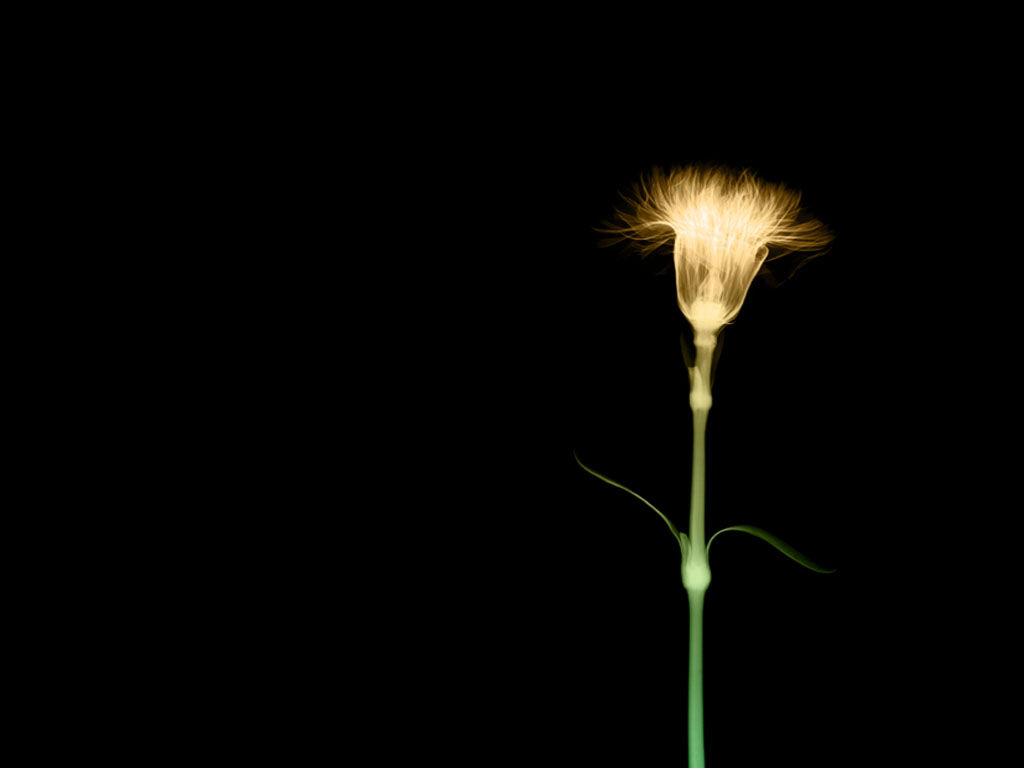 Wallpaper #5cf45 Dark 3D Wallpapers Top Free Dark 3D Backgrounds Wallpaperaccess