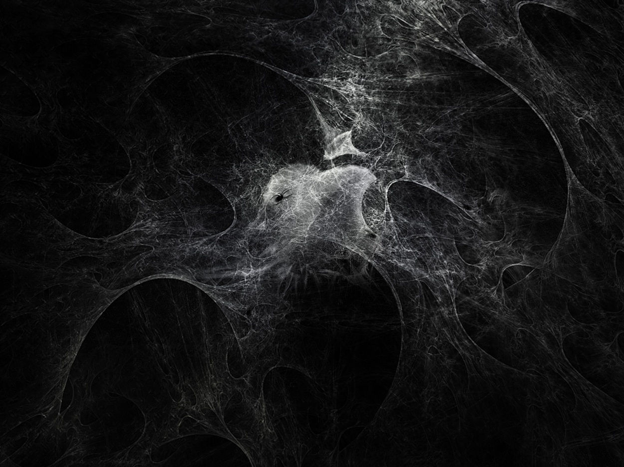 Wallpaper #F2jUHpMBSpphPi3-Fion440 Night Spider Primus Database