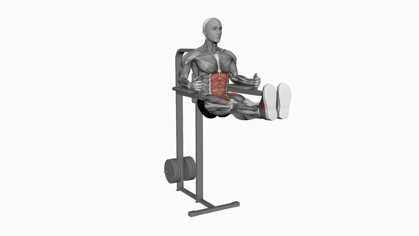 Wallpaper #hGcuDZMBSpphPi3-SeOZ92 Captains Chair Straight Leg Raise Exercise All You Need to Know