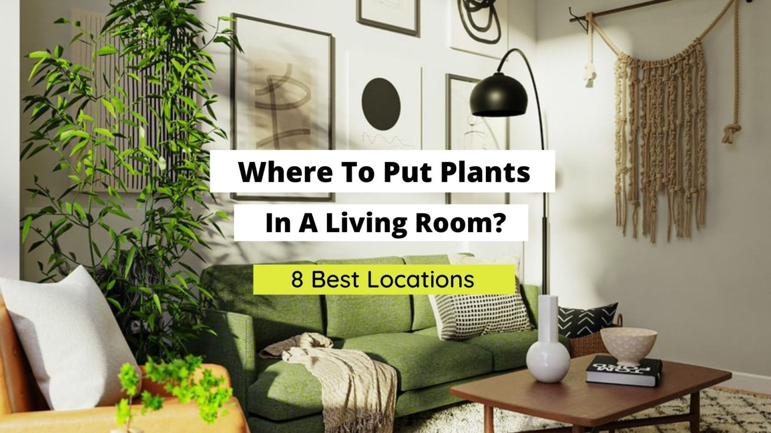 Wallpaper #b5610 30 Pretty House Plants Ideas for Living Room Decoration Living Room