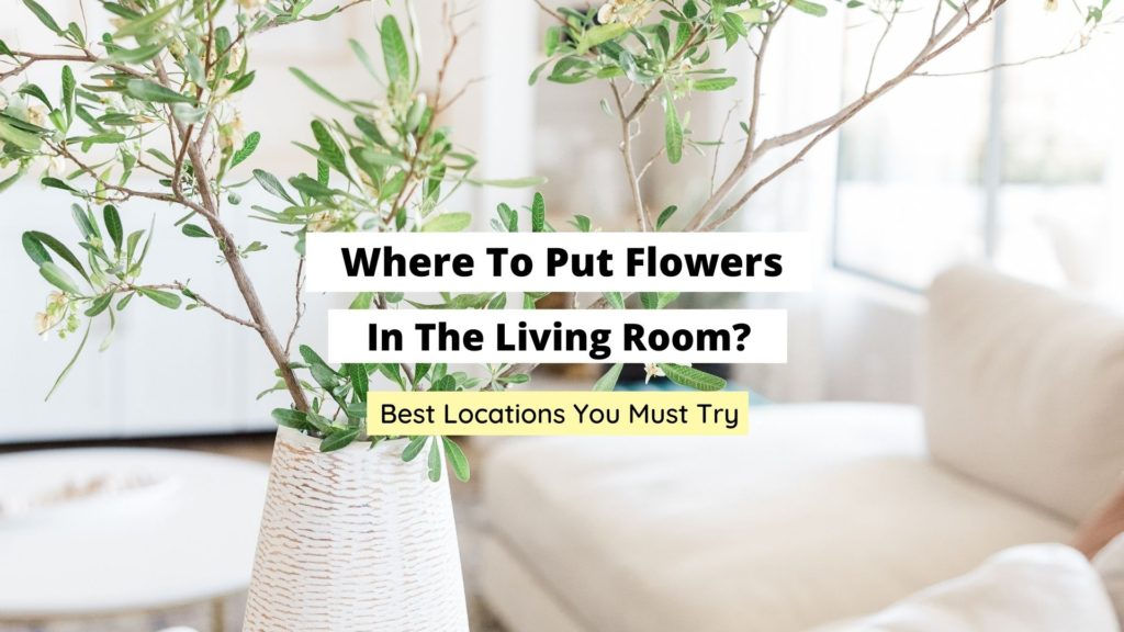 Wallpaper #b5610 30 Pretty House Plants Ideas for Living Room Decoration Living Room