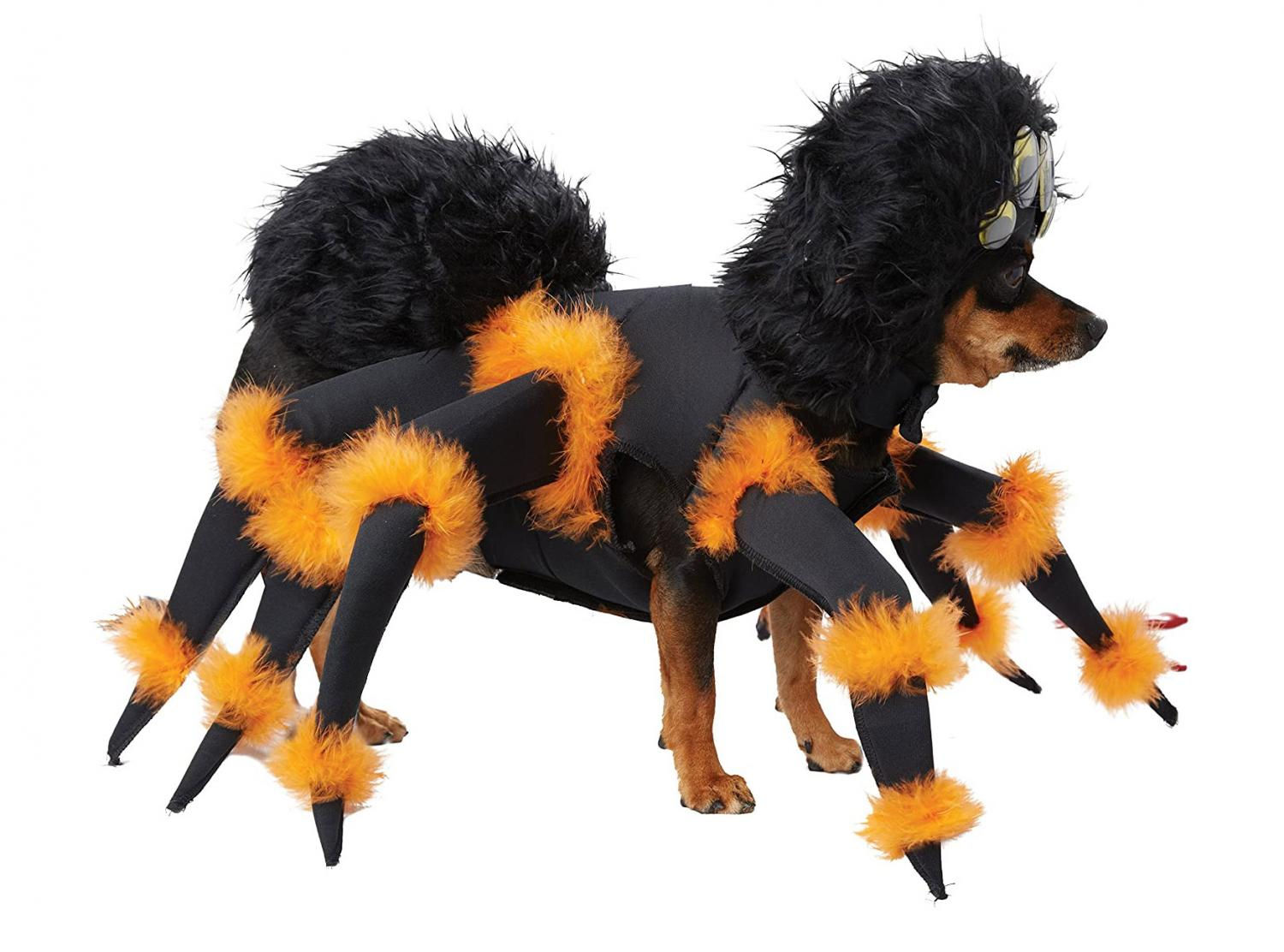 Wallpaper #4WiTH5MBSpphPi3-kStI60 This Tarantula Dog Costume Turns Your Pooch into a Giant Spider for