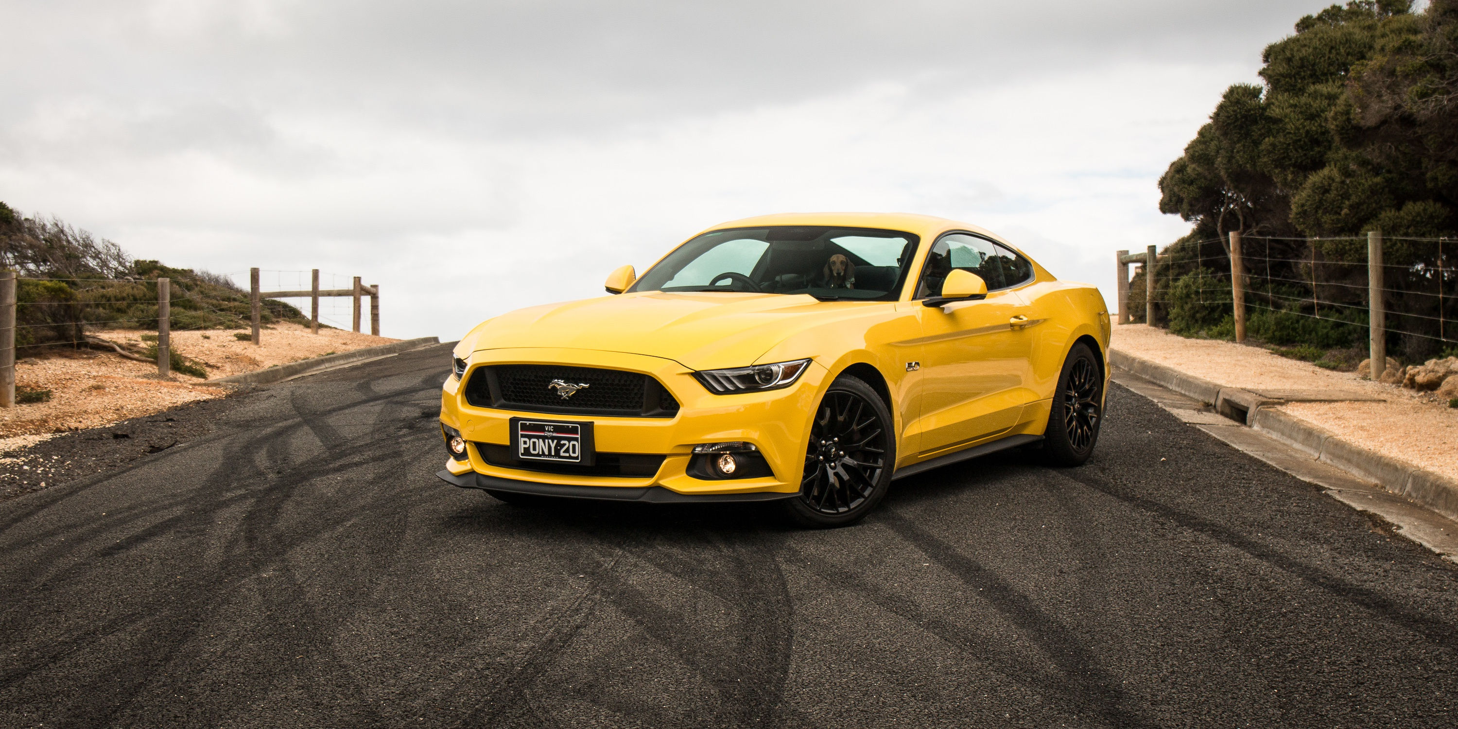 Wallpaper #qnRNxY4B_8f4nGFafnCp43 Yellow Sports Car Ford Mustang on the Track Wallpapers and Images