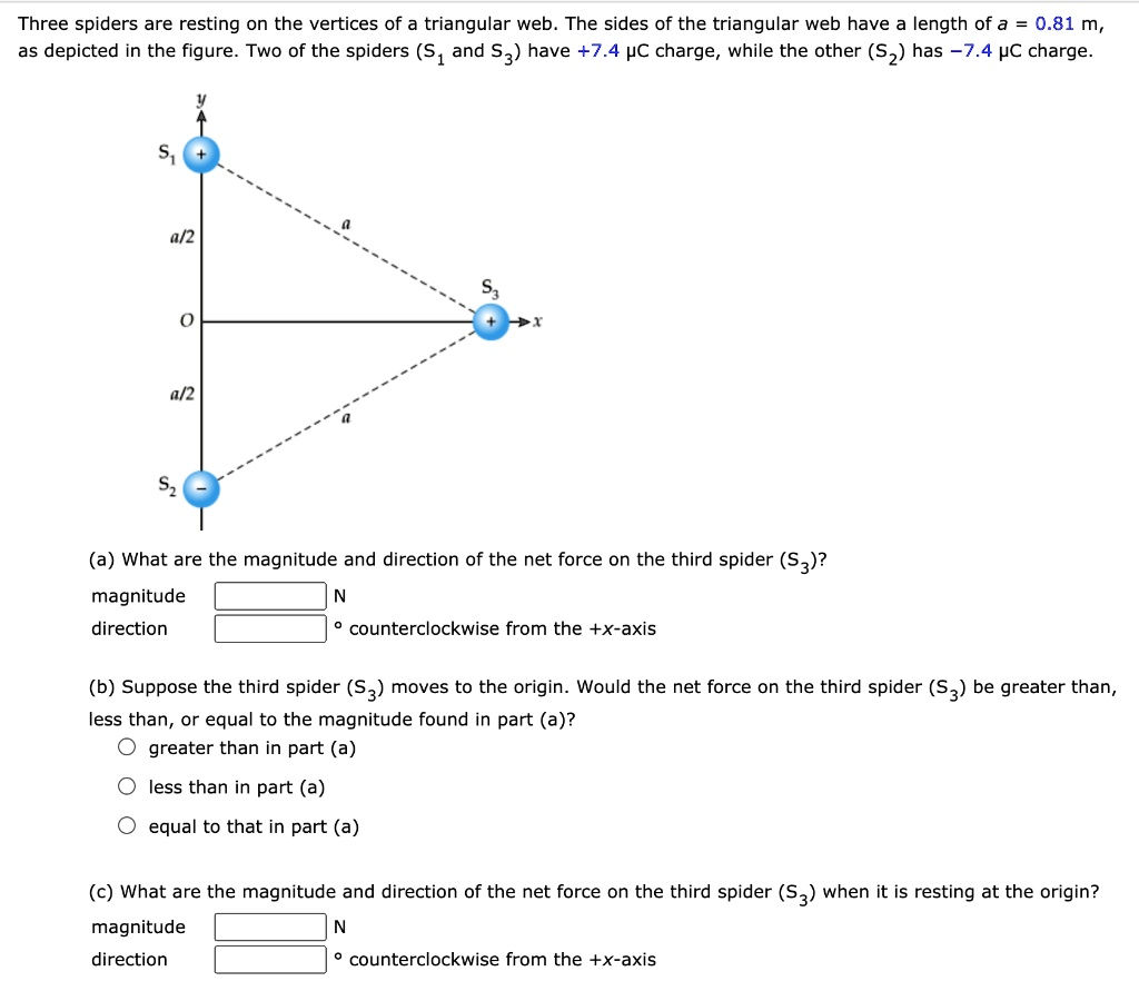 Wallpaper #yP_JaJMB3lSXT3zUg-SK111 Solvedthree Spiders Are Resting on the Vertices of a Triangular Web