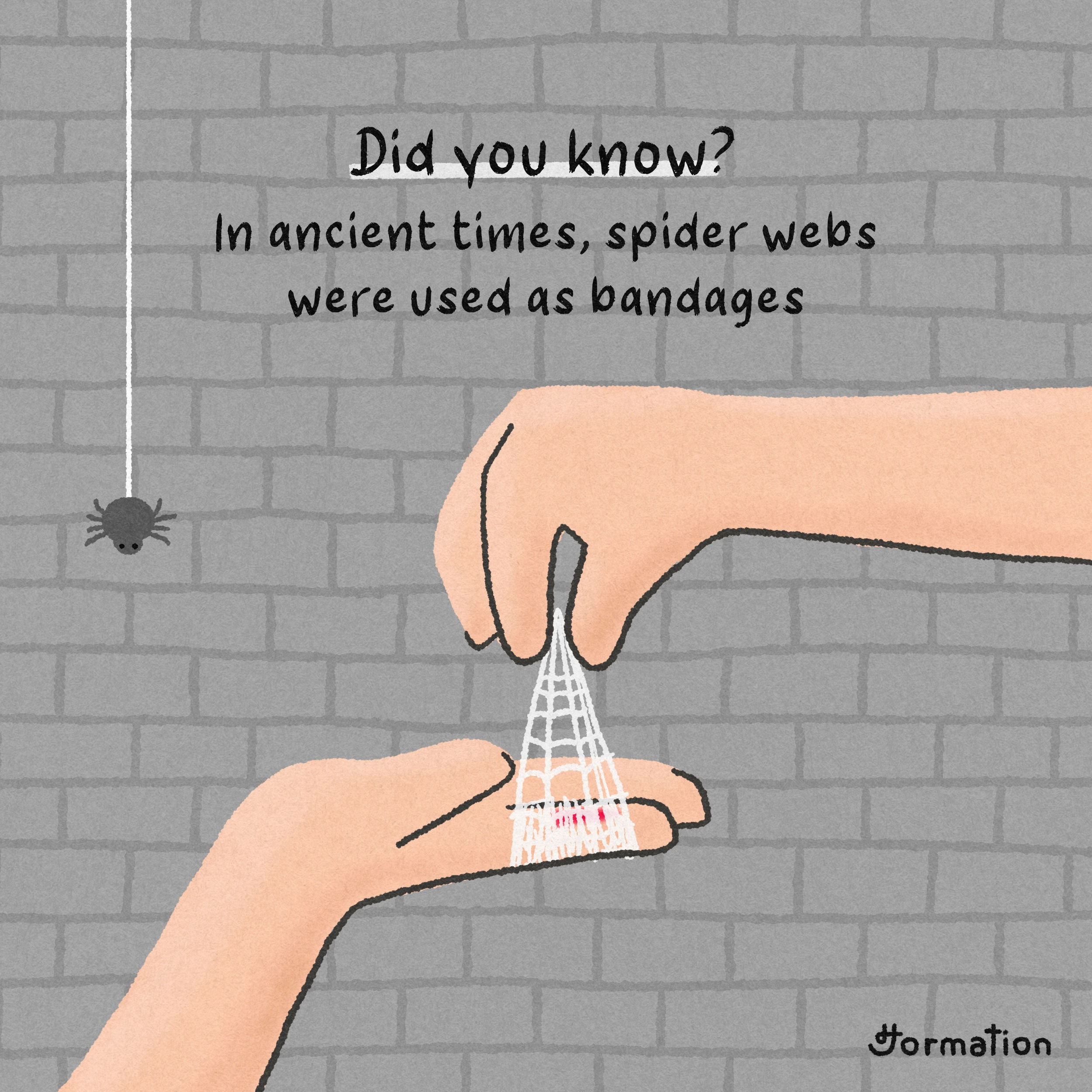 Wallpaper #yP_JaJMB3lSXT3zUg-SK384 In Ancient Times Spider Webs Were Used as Bandages by Jormation on