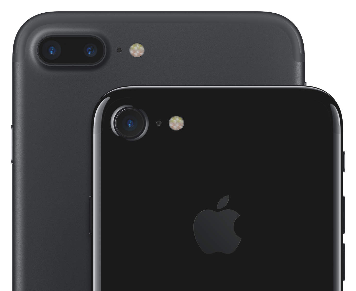 Wallpaper #m2cB8pIBSpphPi3--24I20 iPhone 7 vs iPhone 7 Plus Which Should You Preorder Cult of Mac