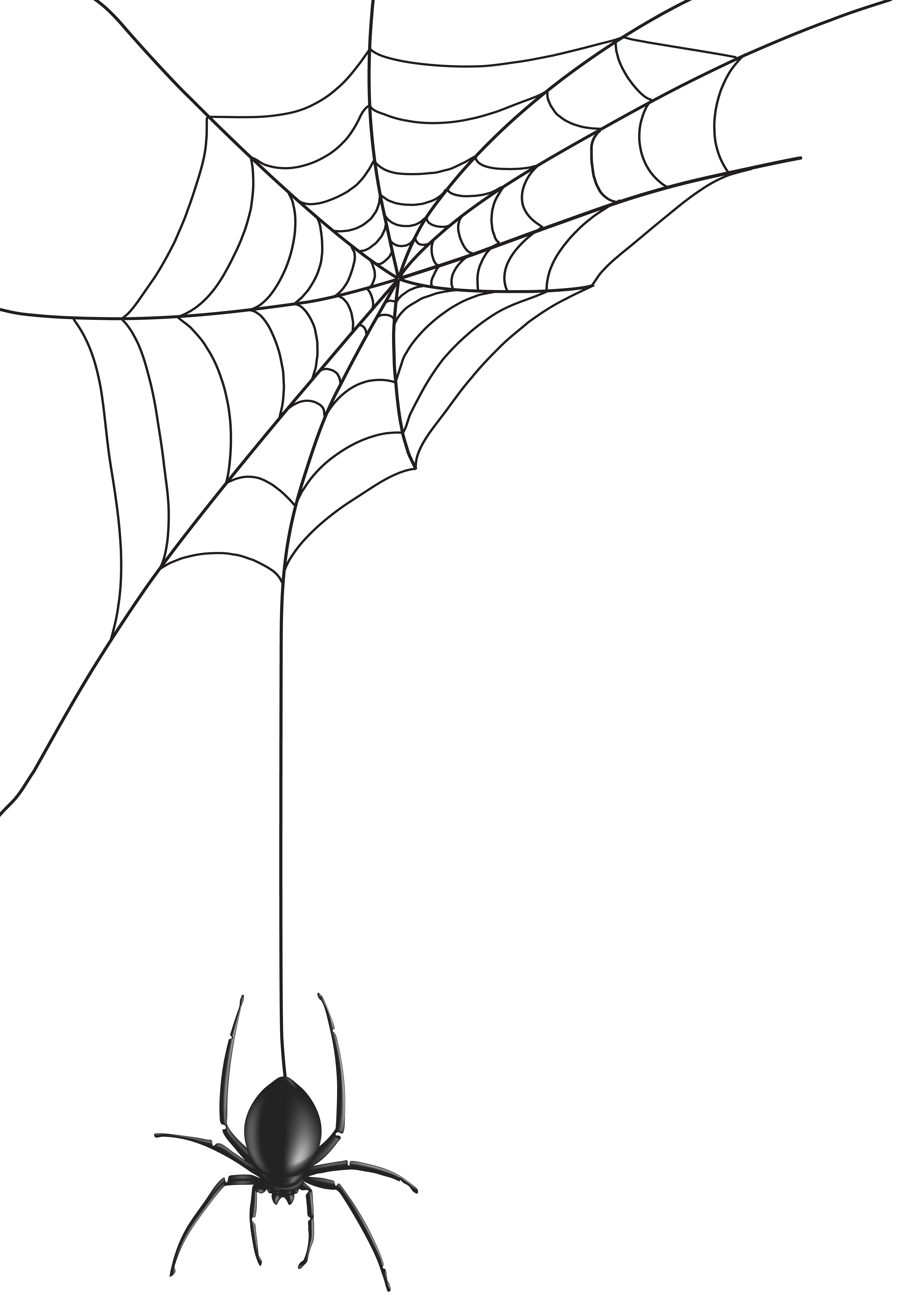 Wallpaper #IHd9JpMB-pgBXx606qKg60 Download Web Spider Hq Image Free Png Clipart Png Free Freepngclipart