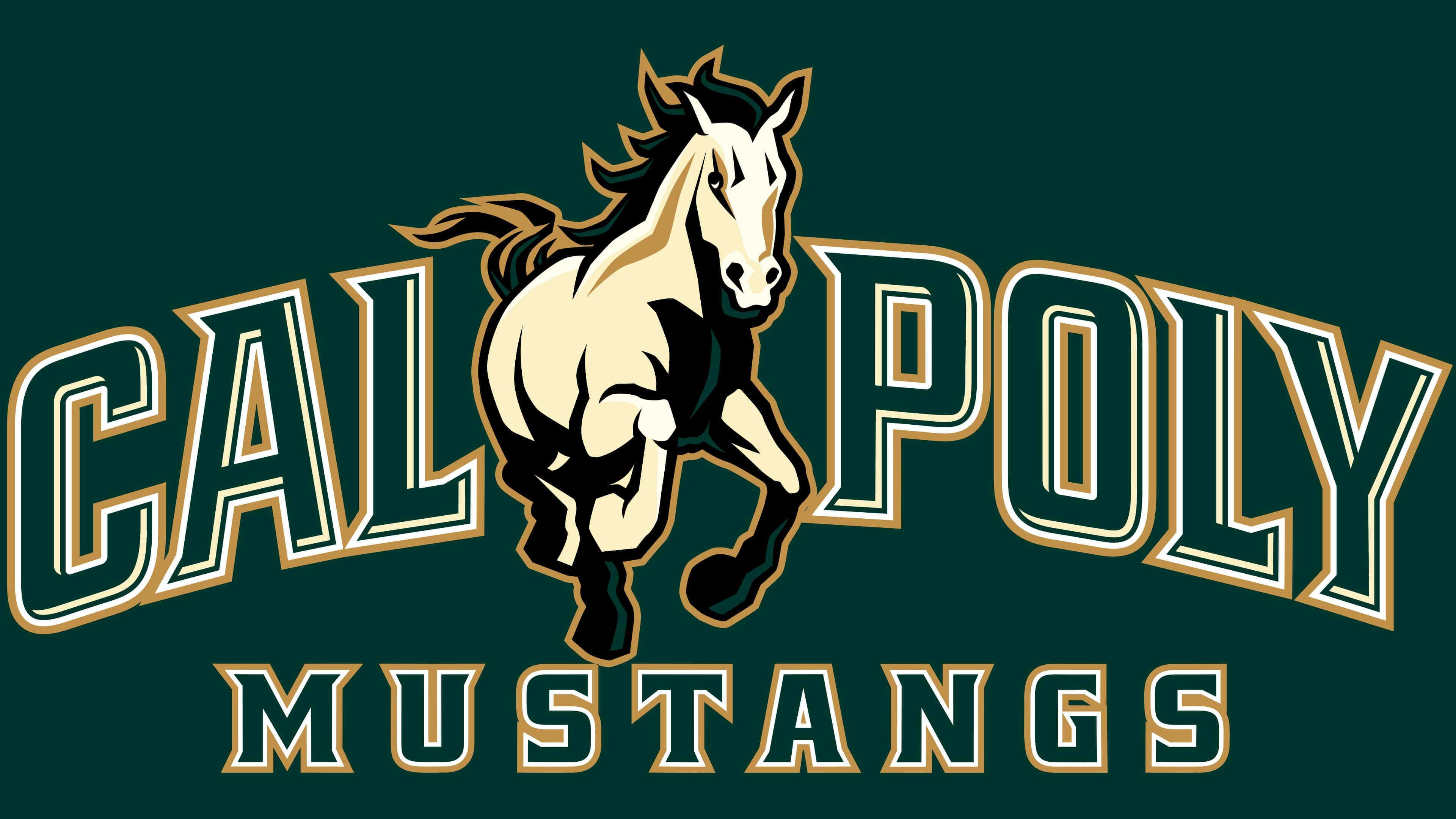Wallpaper #ERquUZMB1yWOL4qgg4Lz253 10 Formats Cal Poly Mustangs Embroidery Design 3 Sizes Instant Download