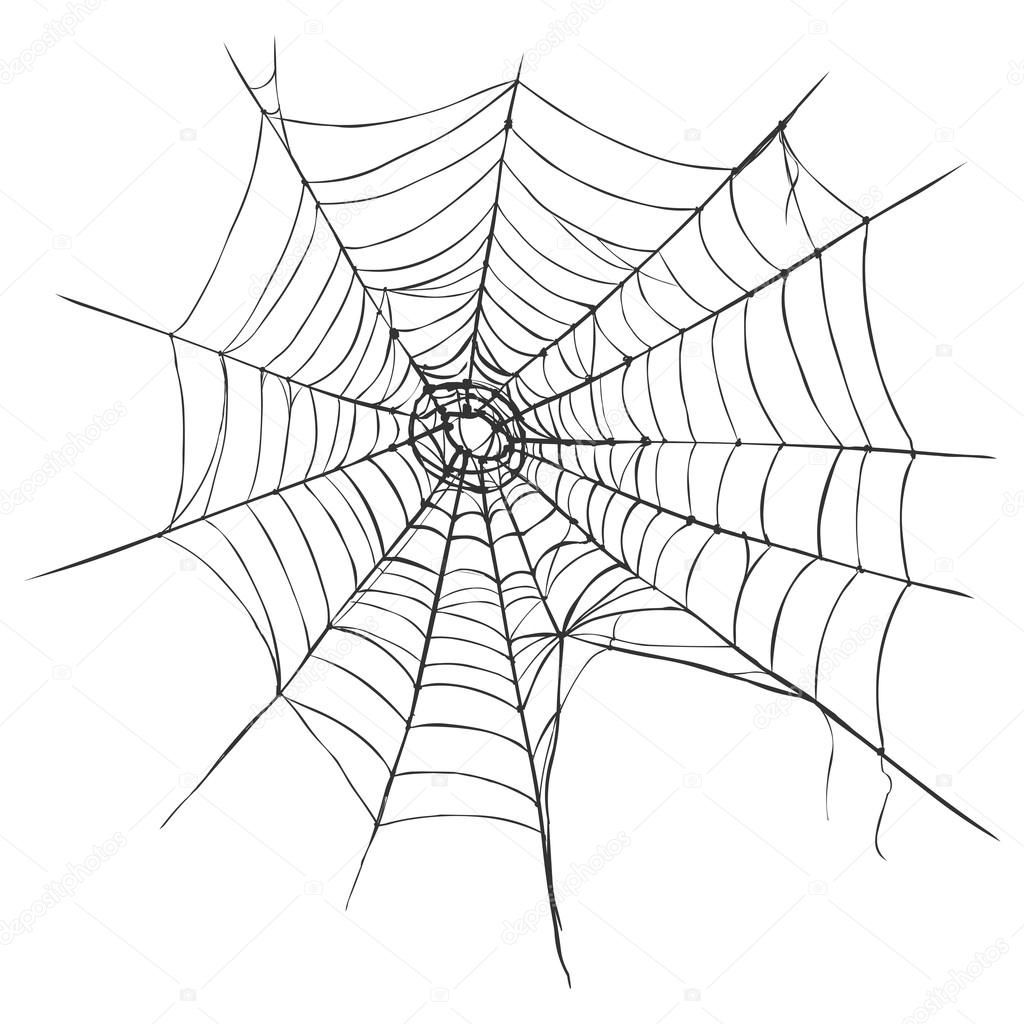 Wallpaper #cGgHF5MBSpphPi3-TQ0z193 Spiders Web Stock Vector Nikiteev 52611887