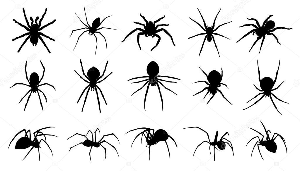 Wallpaper #71bf1 Pin by Kayleigh on Spider Drawings in 2024 Spiderman Drawing