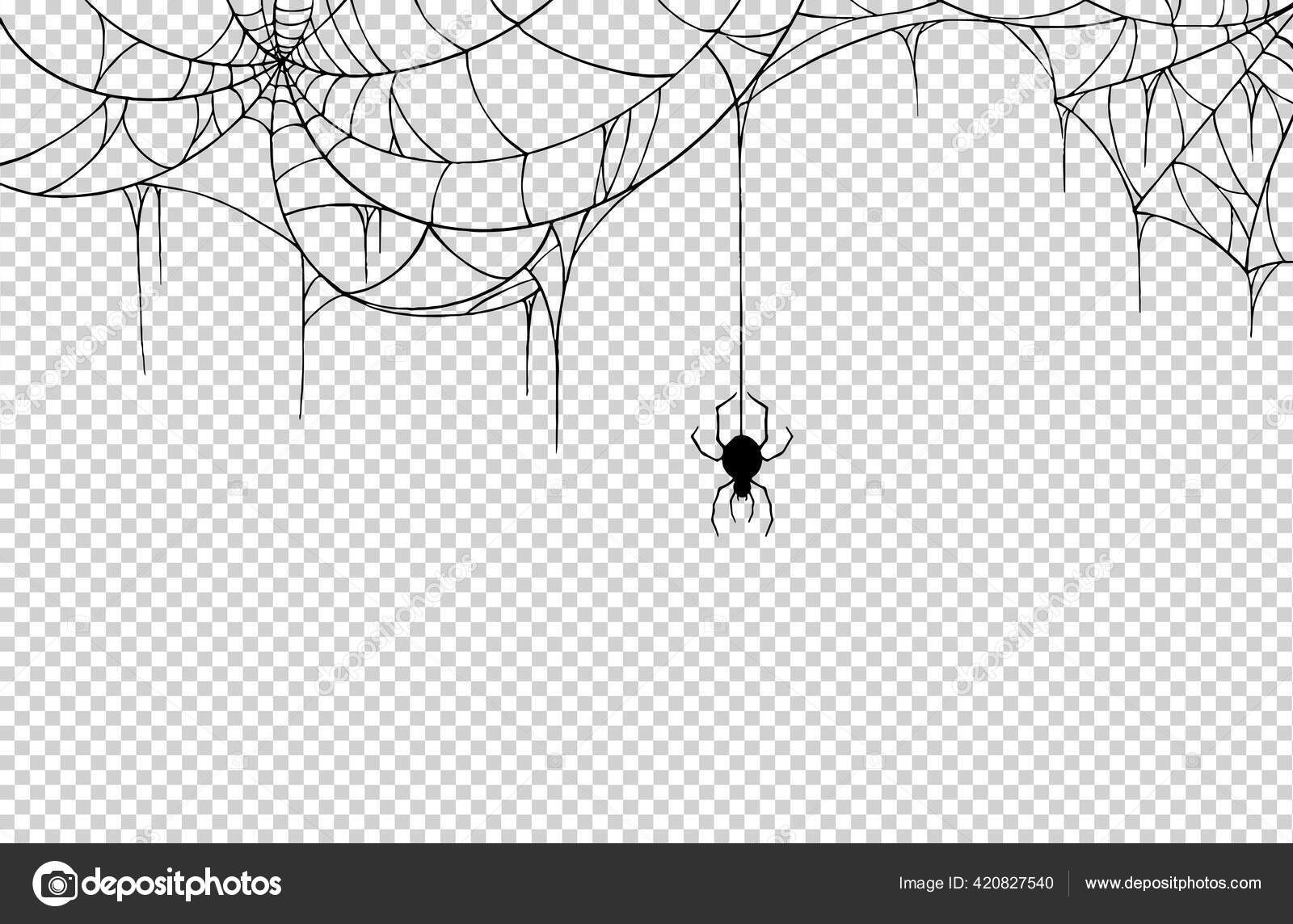 Wallpaper #aRnOEo8BtGB6xQ786WQF14 Spider Hanging Spiderwebs Isolate Png Transparent Background Graphic