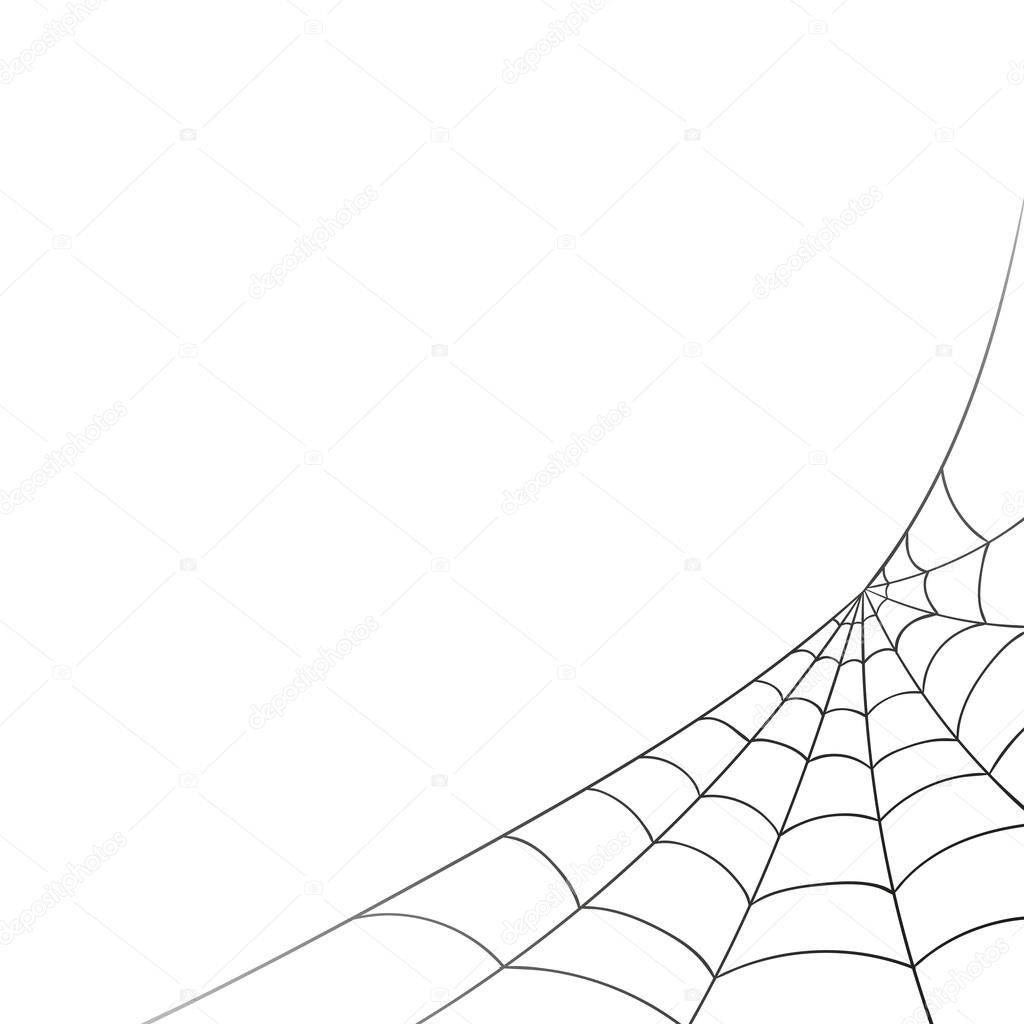 Wallpaper #52dP85IBSpphPi3-BnRA137 Vector Spiderweb on a White Background Stock Vector Image by