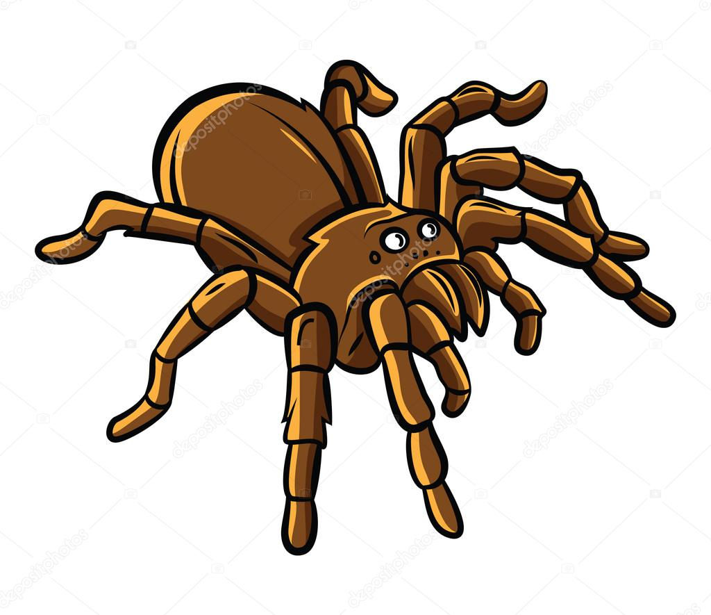 Wallpaper #91iQNJMBzN9vxX34RTxK272 Tarantula Cartoon