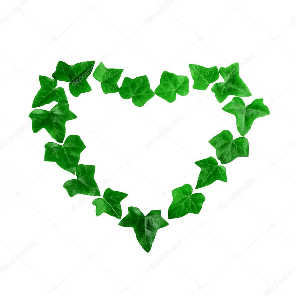 Wallpaper #Tmd395IBSpphPi3-tobx173 Patron De Corazon Verde Hecho De Hojas De Hiedra Sobre Fondo Blanco