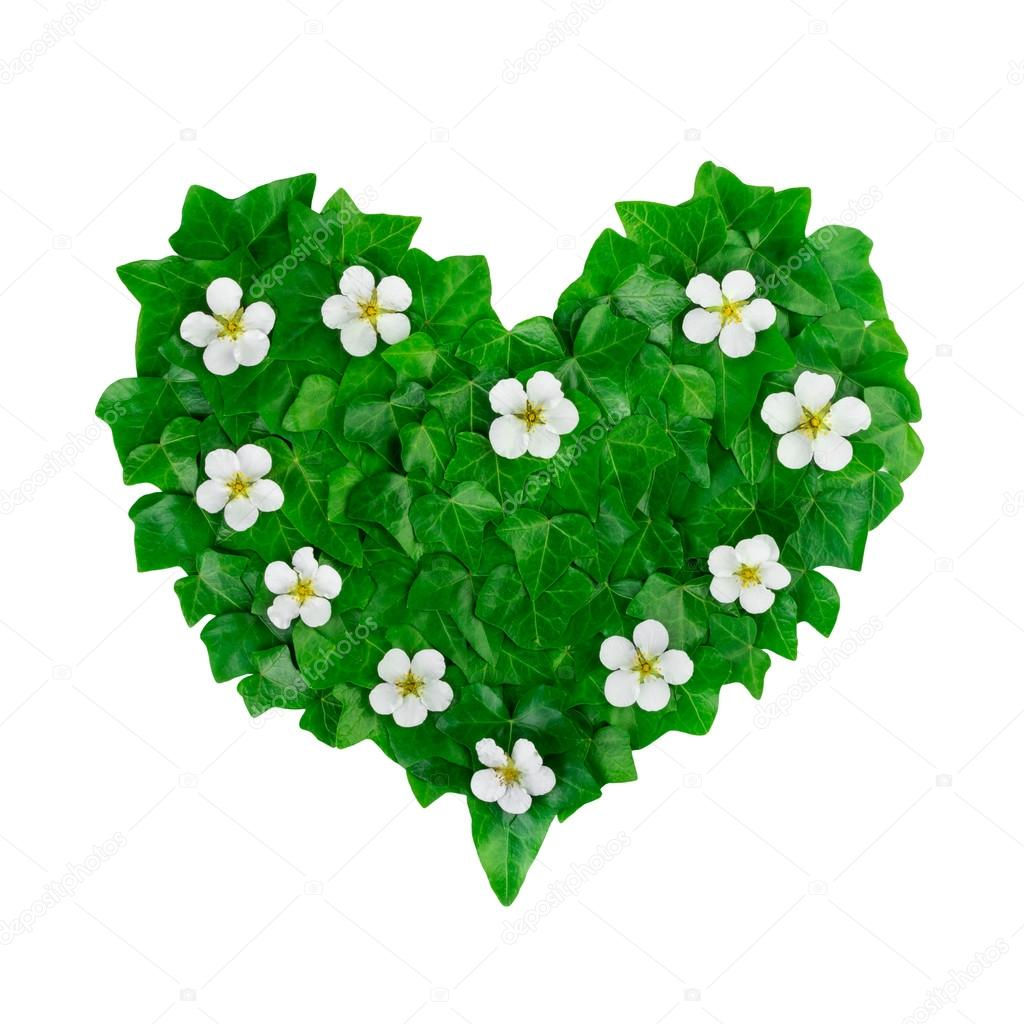 Wallpaper #Tmd395IBSpphPi3-tobx121 Green Heart Pattern Made of Ivy Leaves and White Flowers Creative