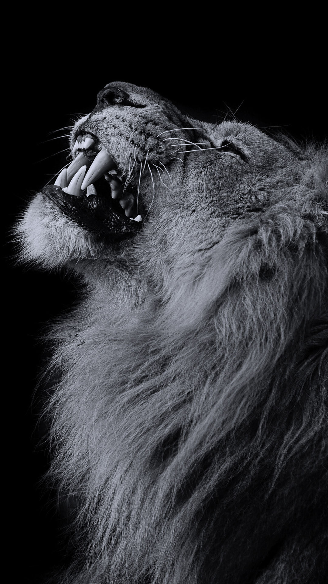 Wallpaper #NWde85IBSpphPi3-cHVJ394 Iphone11