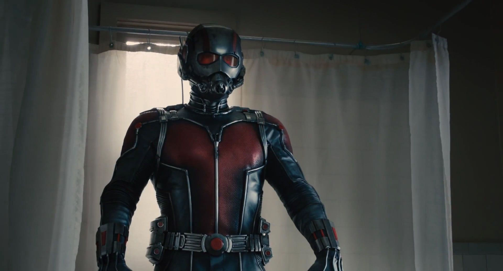 Wallpaper #gWeJ65IBSpphPi3-YUyG187 Ant Man Trailer Analysis and Character Guide Screen Rant
