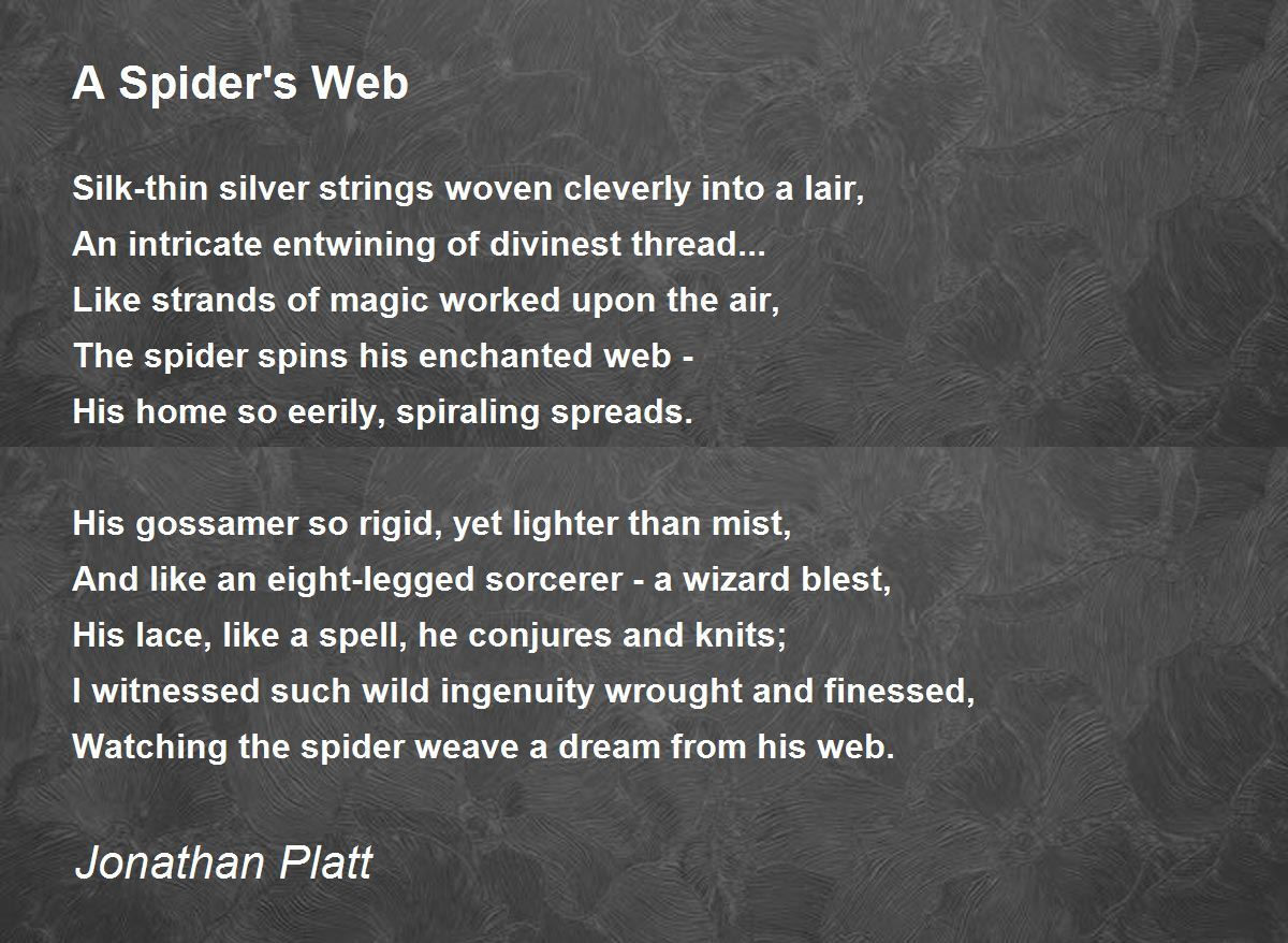 Wallpaper #9FiONJMBzN9vxX34-Dwl37 A Spiders Web a Spiders Web Poem by Jonathan Platt