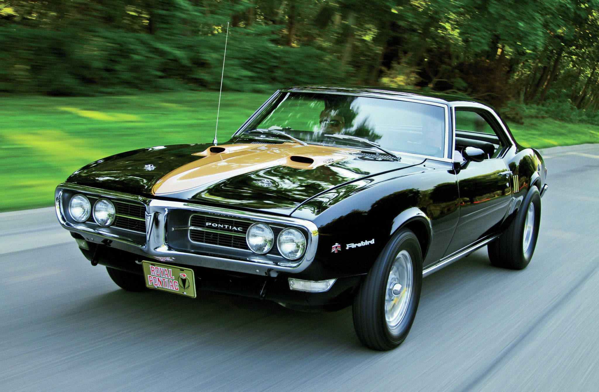 Wallpaper #KpyZ4pIBZHQxiYarYME5131 1968 Pontiac Firebird the Blackbird Flies Again