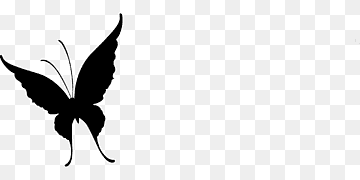 Wallpaper #eJyi4ZIBZHQxiYar67ym287 Vector Butterfly Png Images Pngwing