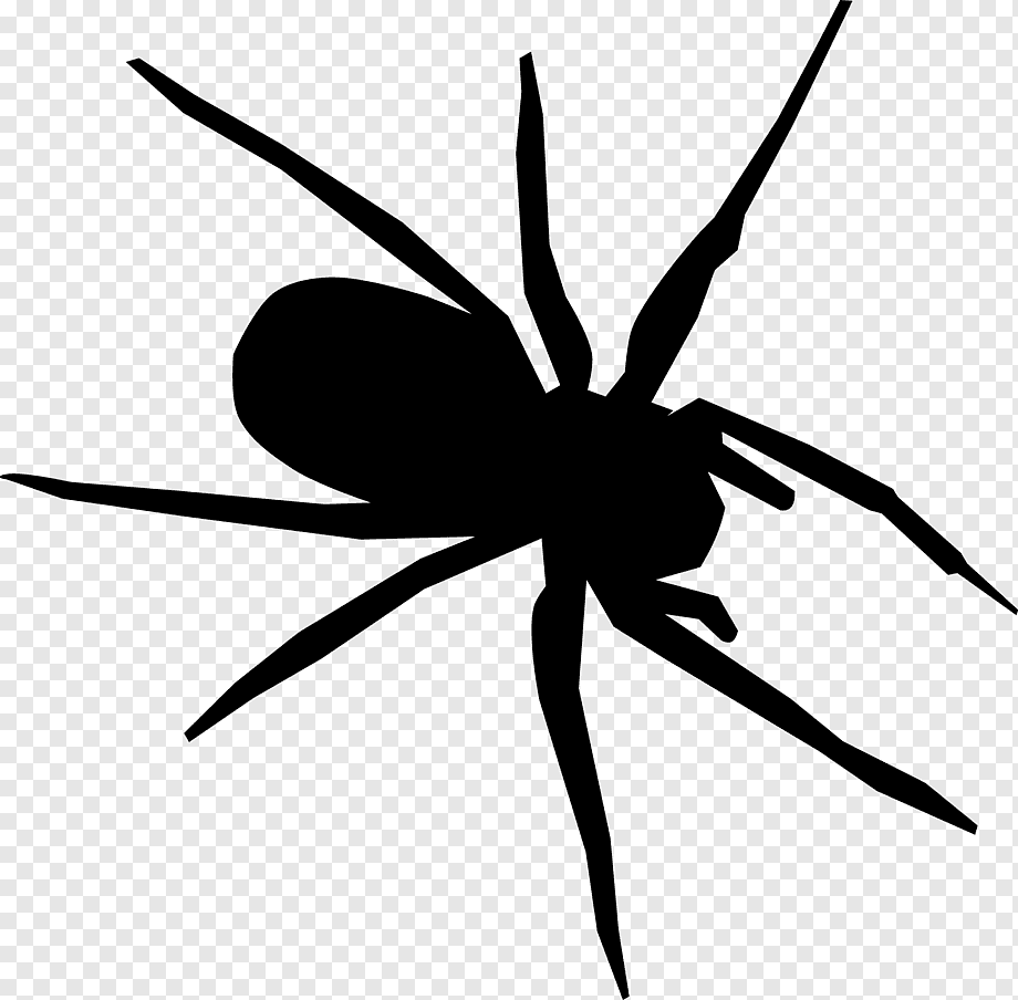 Wallpaper #71bf1 Pin by Kayleigh on Spider Drawings in 2024 Spiderman Drawing