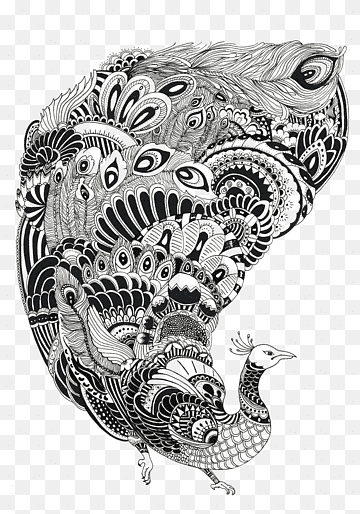 Wallpaper #sZy14pIBZHQxiYarjMHJ483 Peacock Black and White Png Images Pngwing