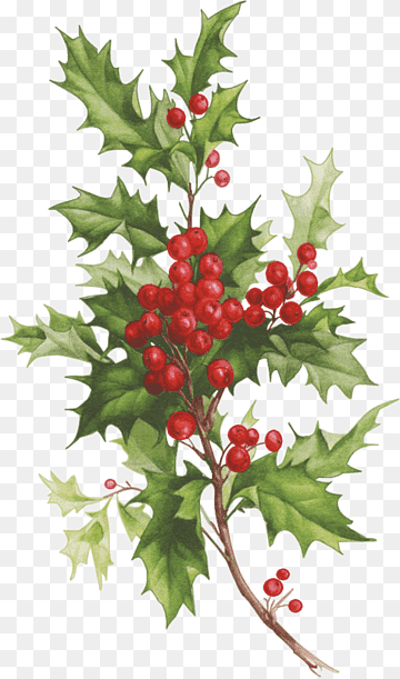 Wallpaper #_bgL2ZIBJvJKYCmEbeqa288 Christmas Santa Png