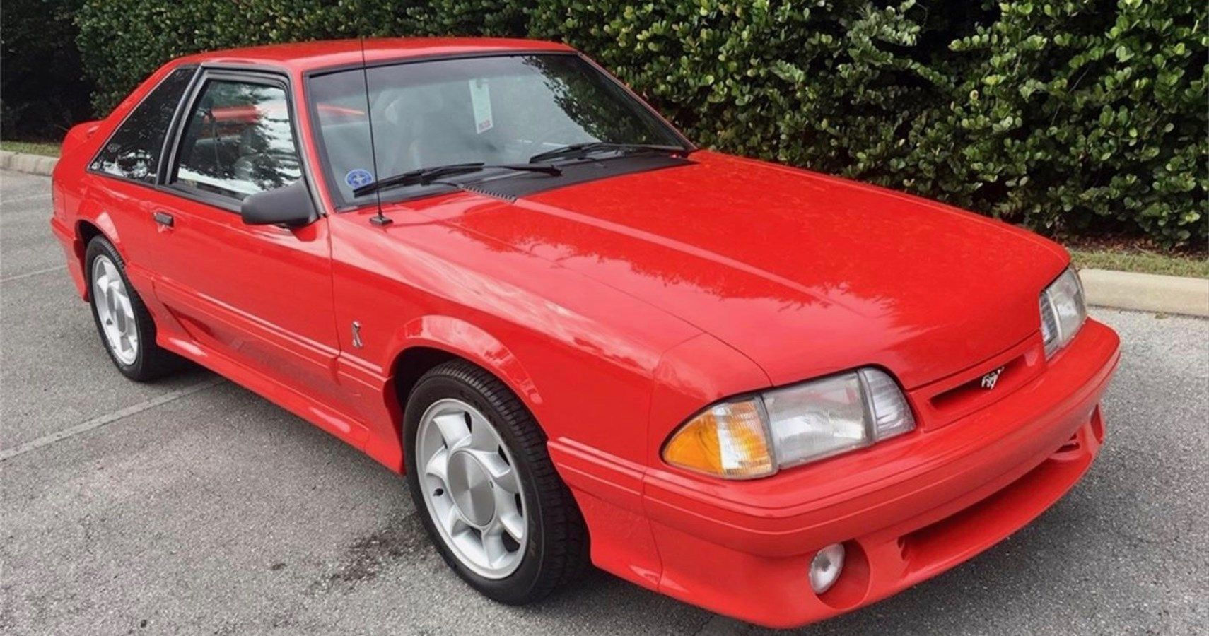 Wallpaper #LSwnSZMB0E1QgA7wUvIZ287 10 Things Only Real Gearheads Know About the 1993 Ford Mustang Svt Cobra