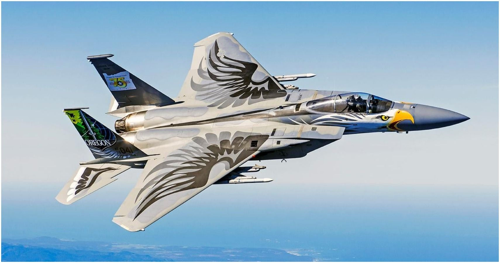 Wallpaper #uGcECpMBSpphPi3-SdKw291 The 10 Most Badass Fighter Jet Liveries of All Time