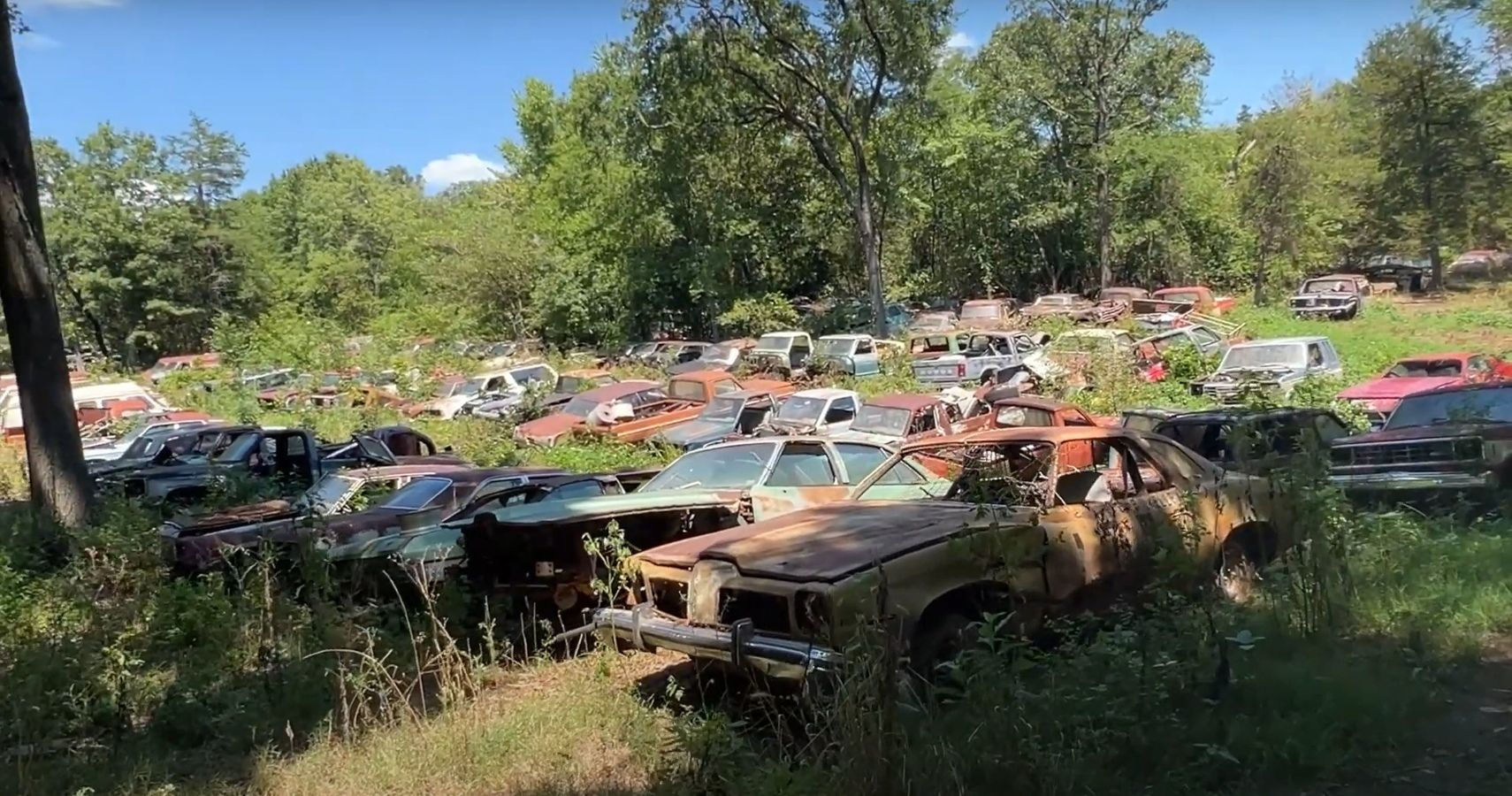 Wallpaper #Fbgc3JIBJvJKYCmET_q9105 Barn Find Heaven Unveiled in 20 Acre Forest Full of Abandoned Classic