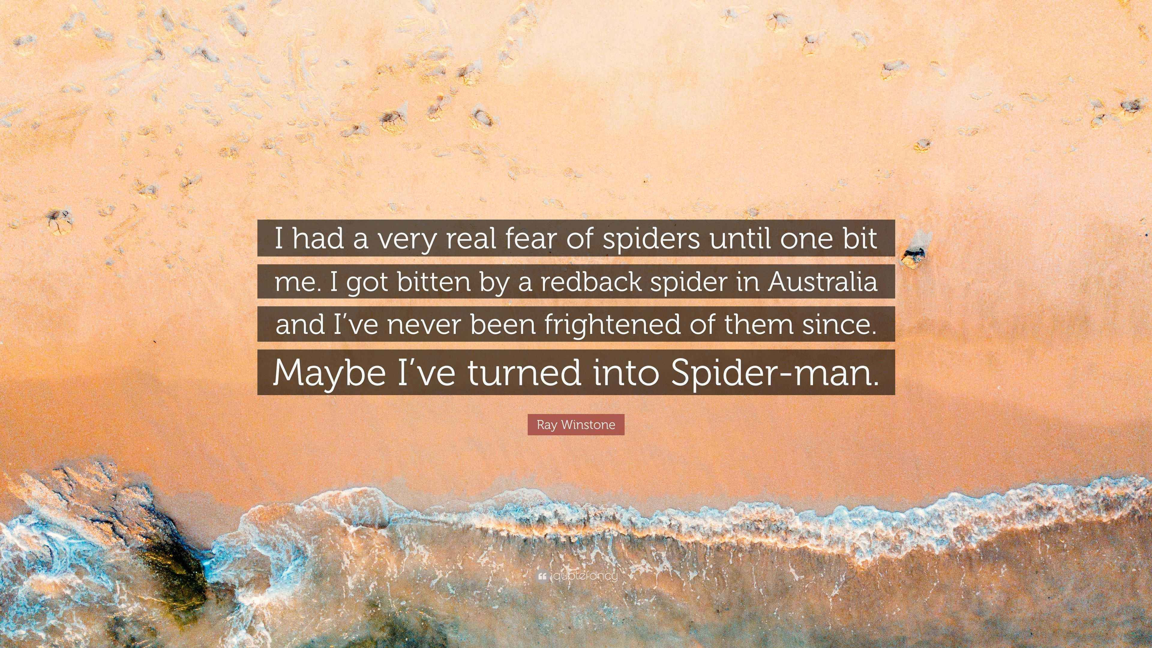 Wallpaper #KBmFDo8BtGB6xQ78G1oC57 Ray Winstone Quote I Had a Very Real Fear of Spiders Until One Bit Me